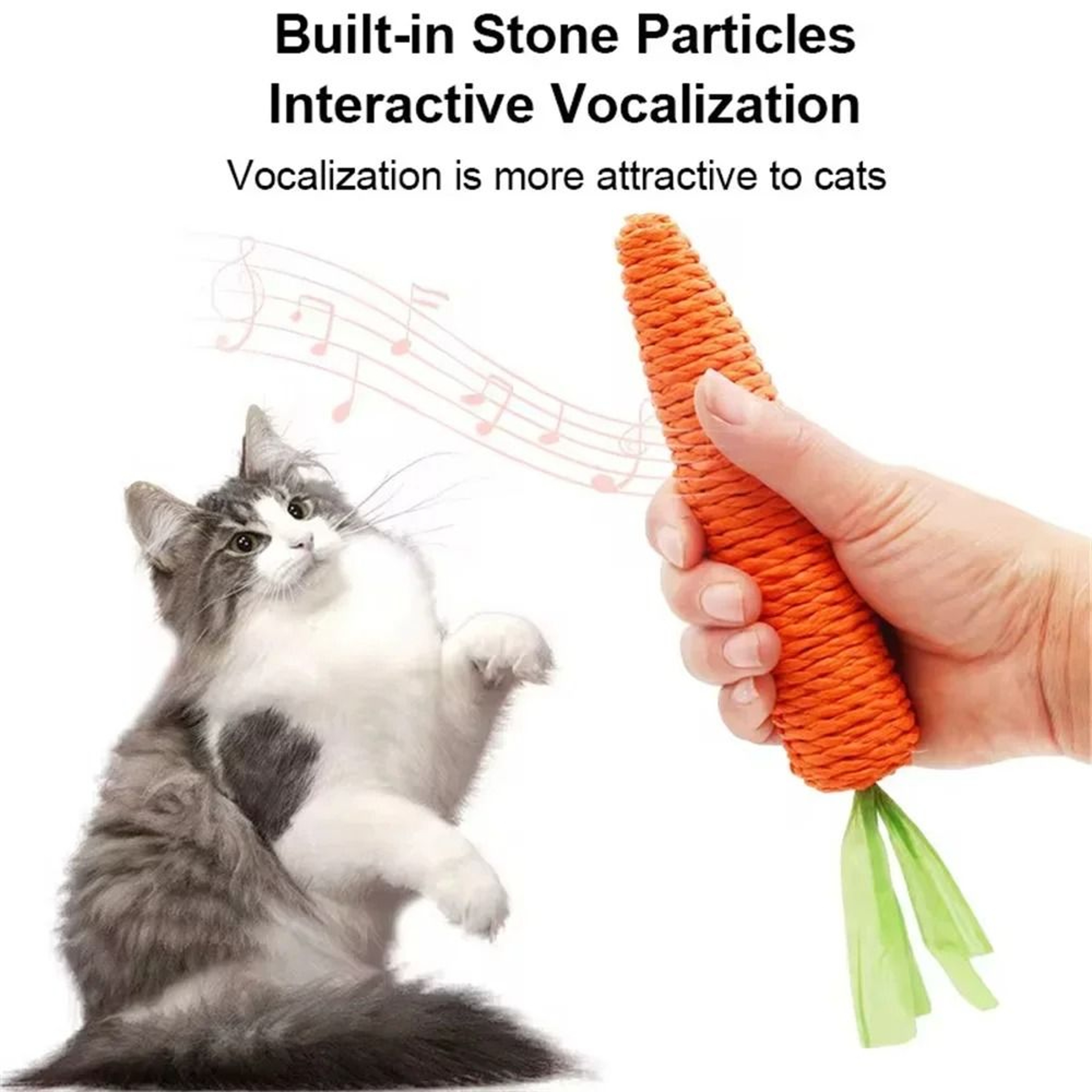 Interactive Carrot Squeak Toy For Cats And Dogs 1