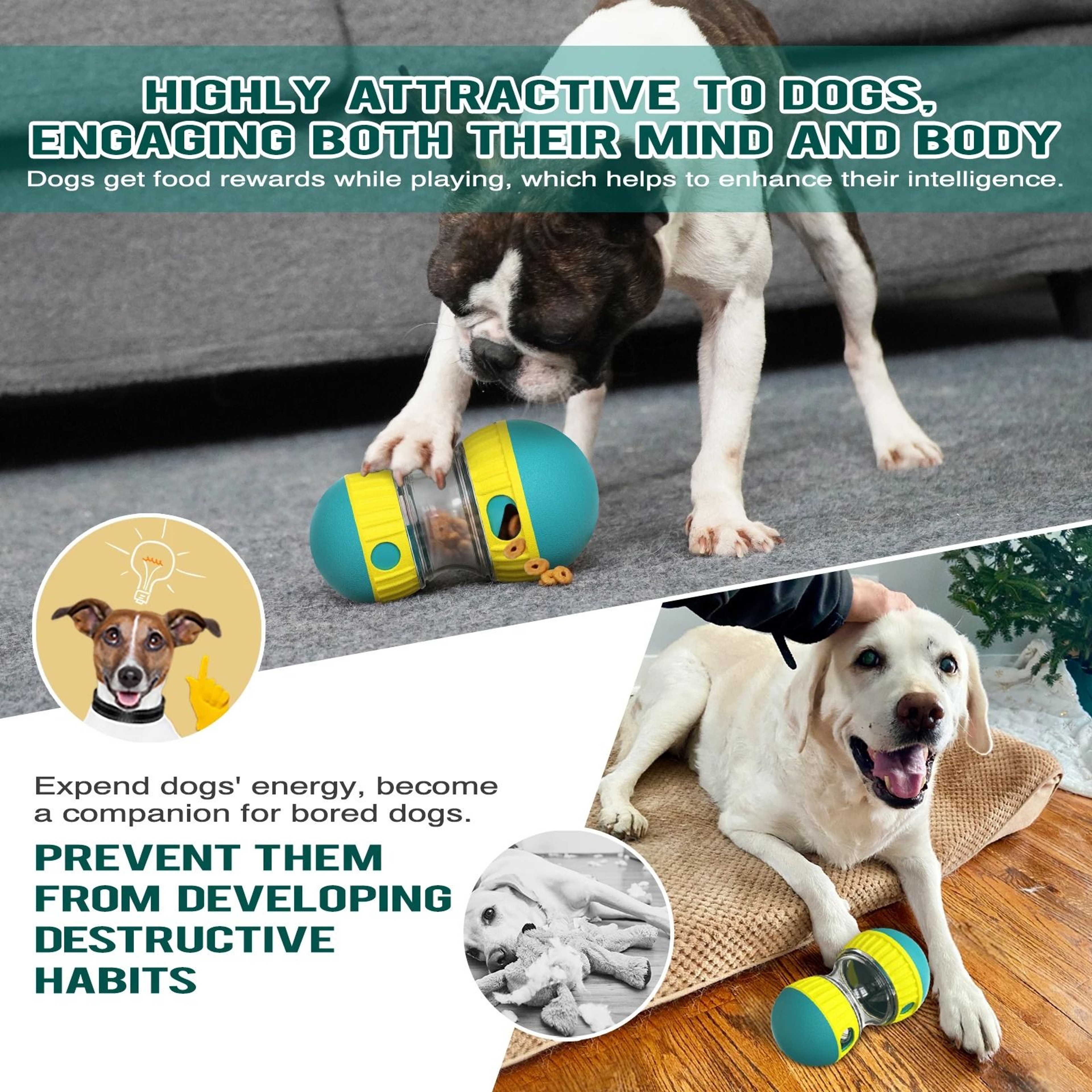 Treat Enrichment Pet Toy Slow Feeder Ball For Dogs 5