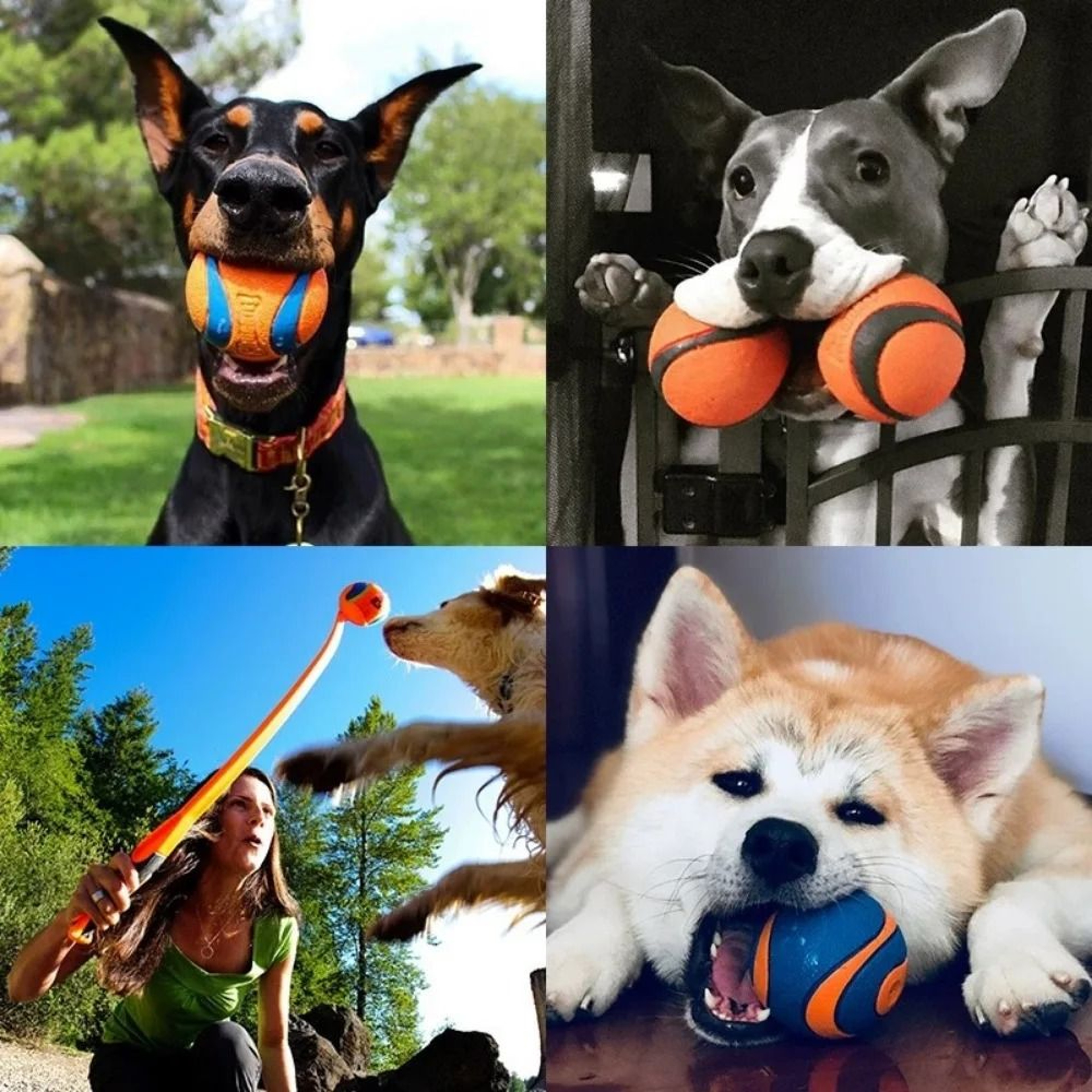 Dog Fetch Ball Tough Chew Toy Solid Elastic Jumping Ball For Dogs 5