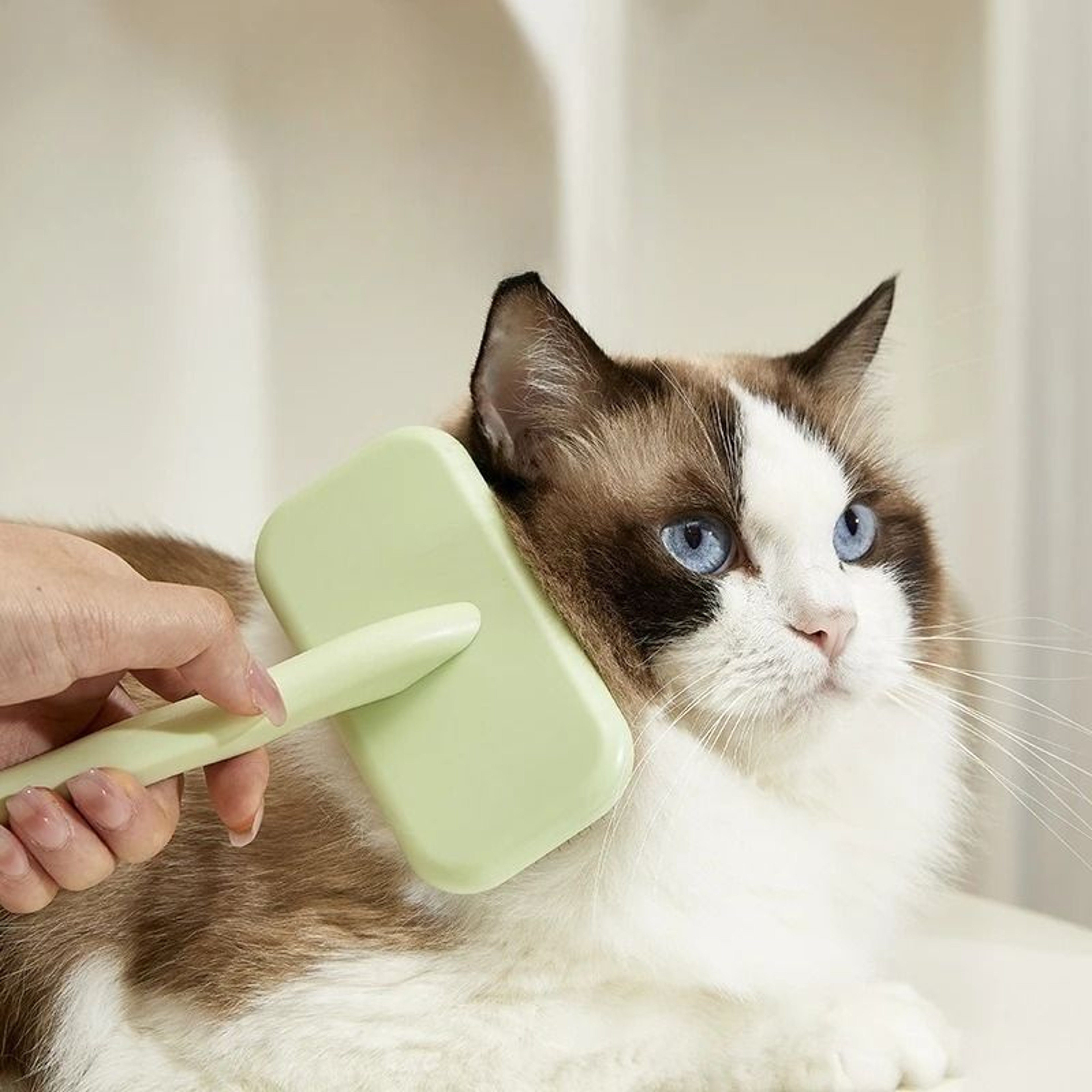 Dog And Cat Grooming Brush Stainless Steel Pet Hair Remover With Comfort Handle 3