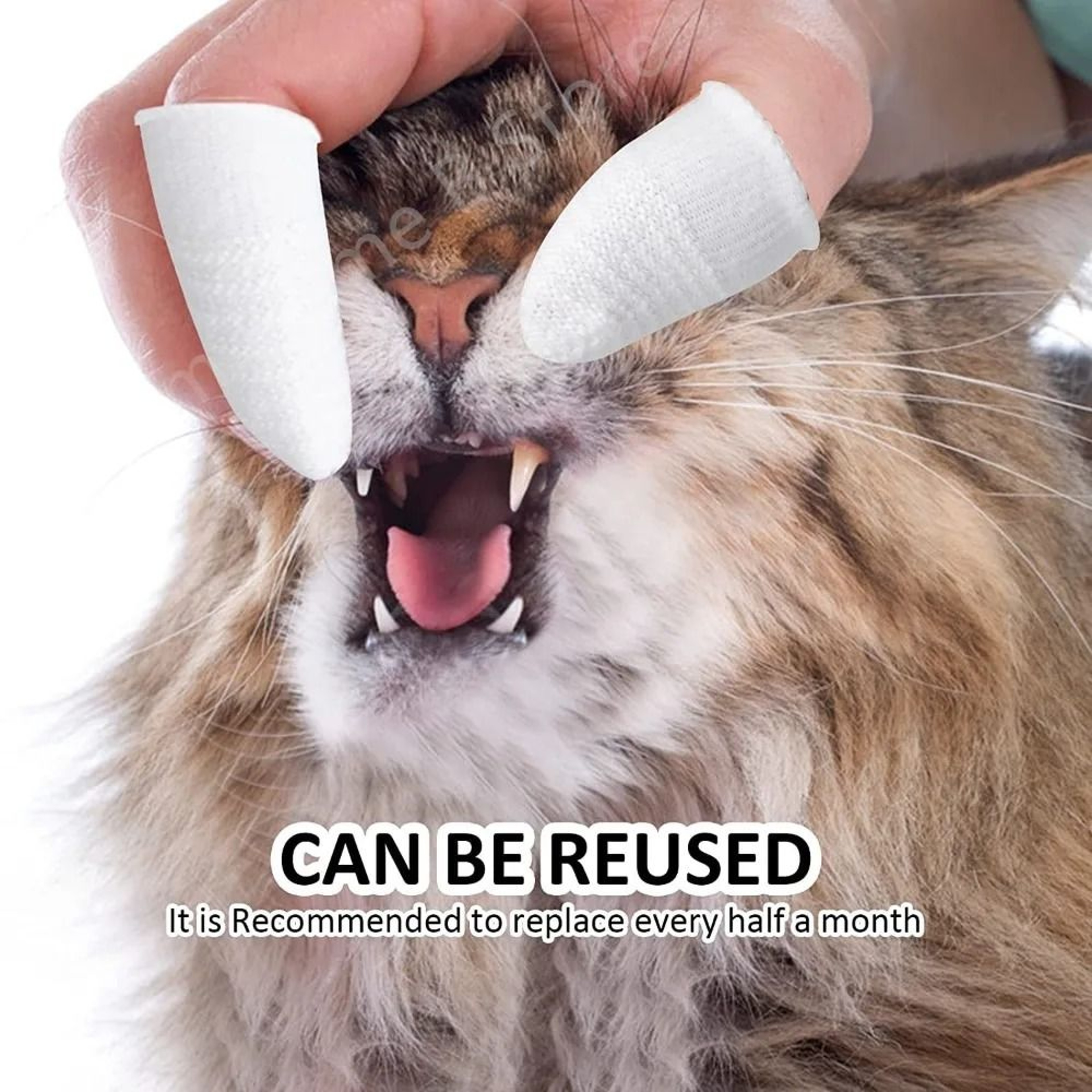 Pet Finger Toothbrush Two Finger Brushing Cots For Oral Care 1
