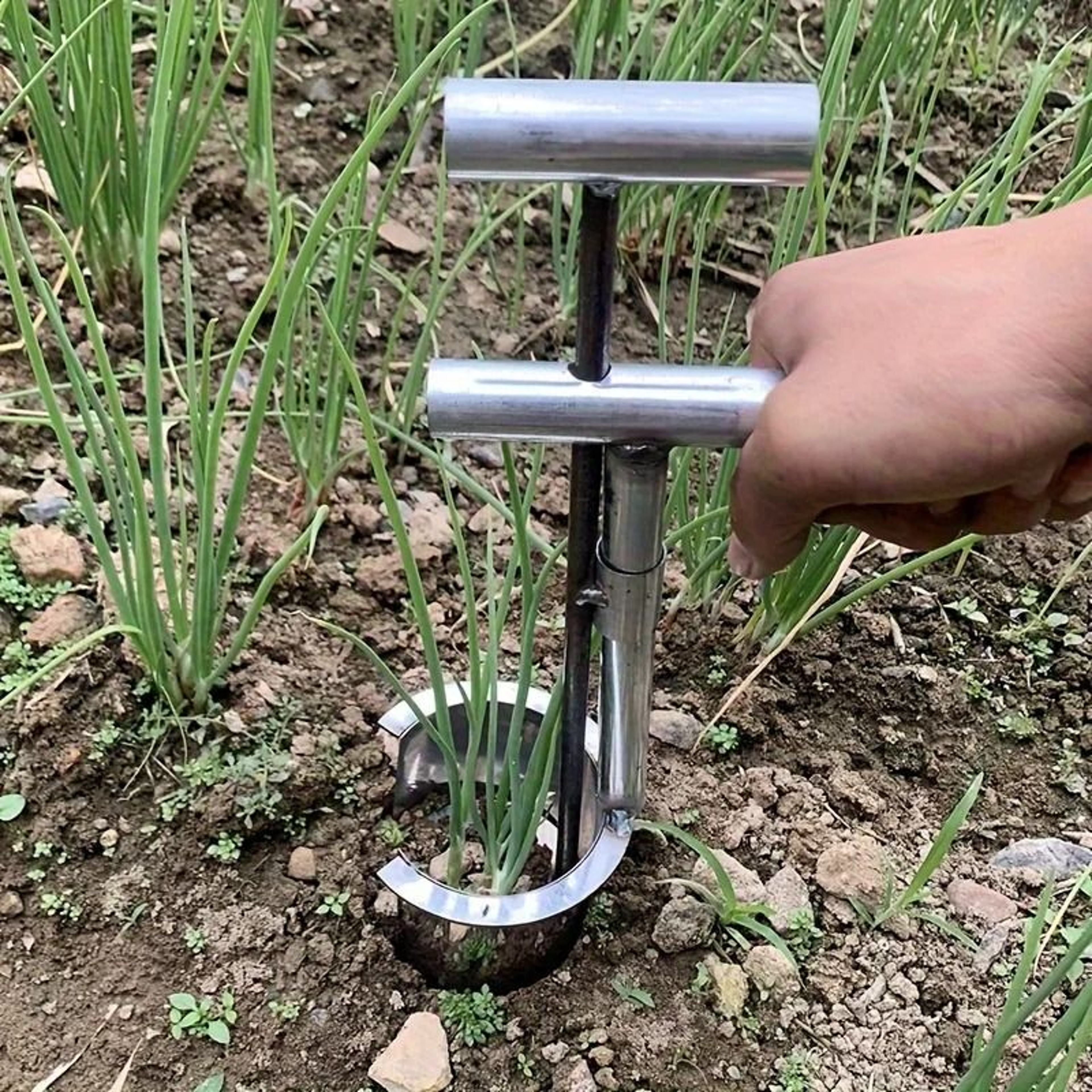 Stainless Steel Handheld Garden Transplanter For Seedlings And Small Plants 6