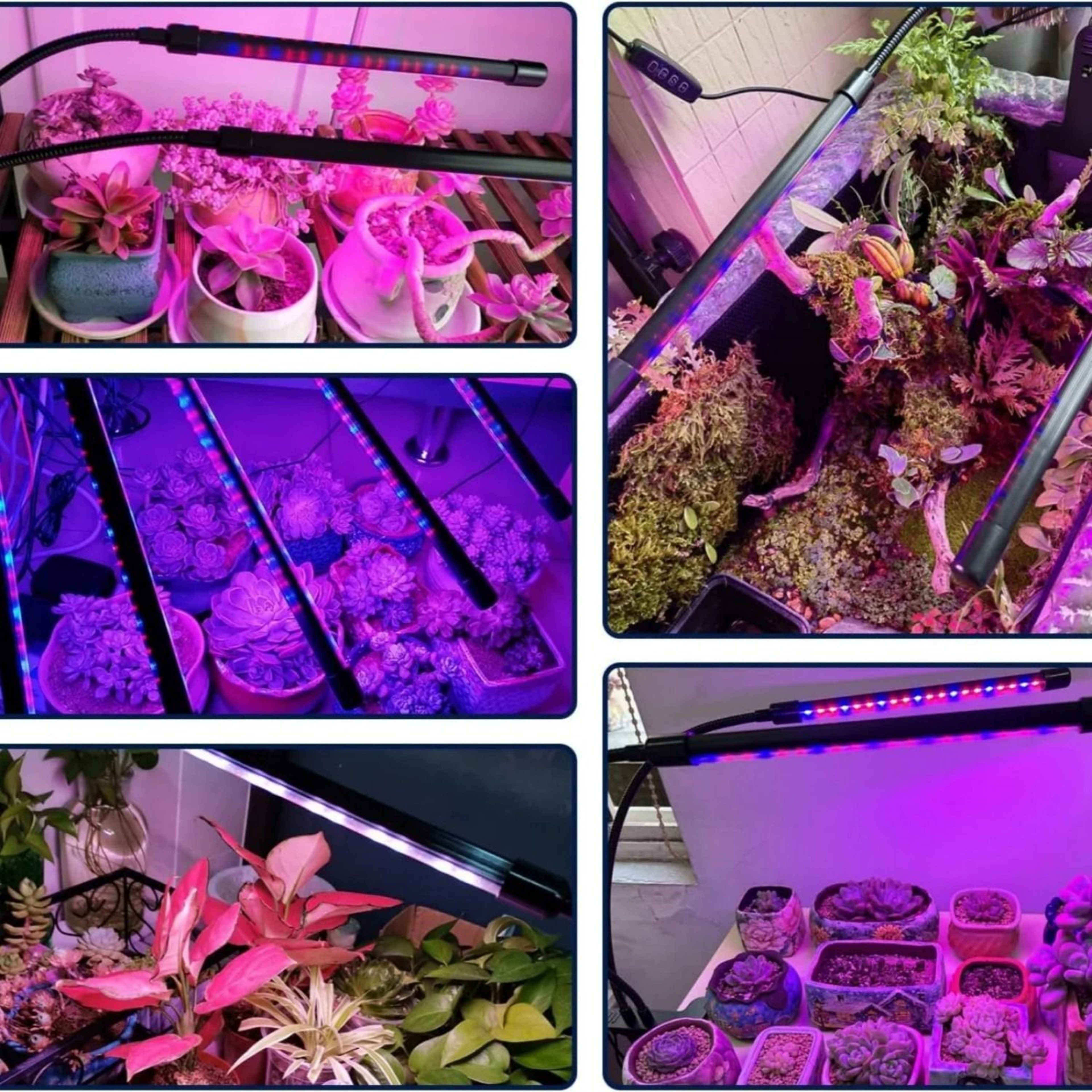 LED USB Grow Light Full Spectrum Clip Lamp For Indoor Plants And Seedlings 5