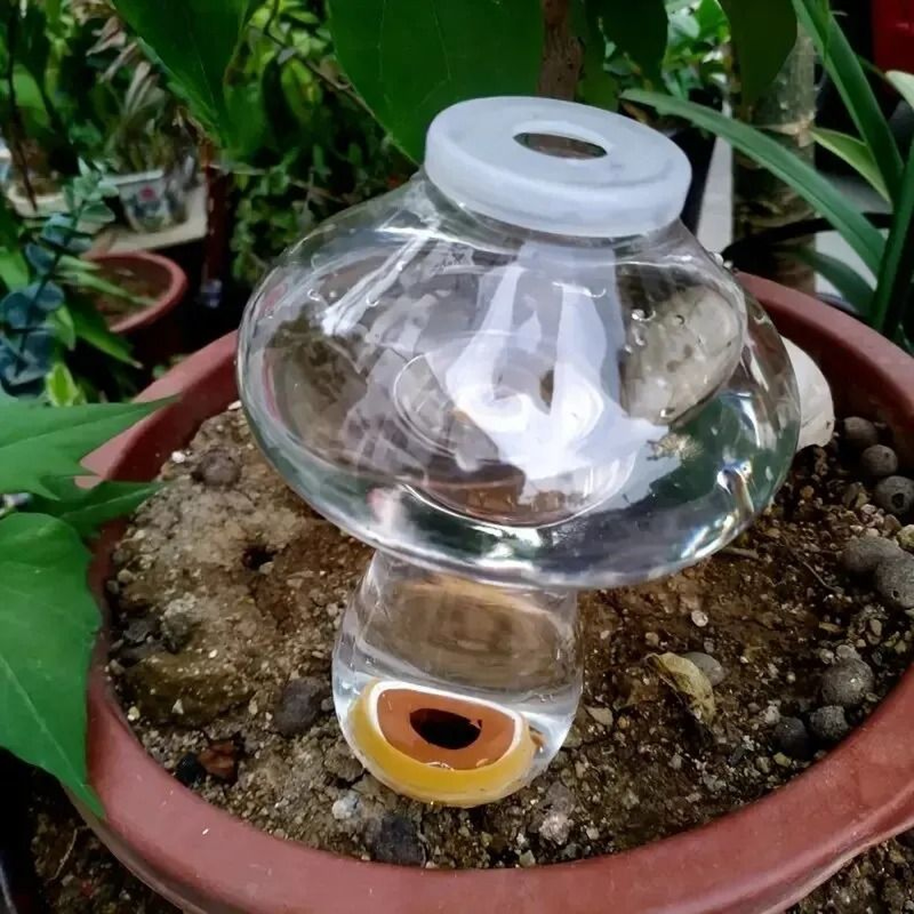Love Shaped Automatic Plant Waterer Drip Irrigation Insert 5