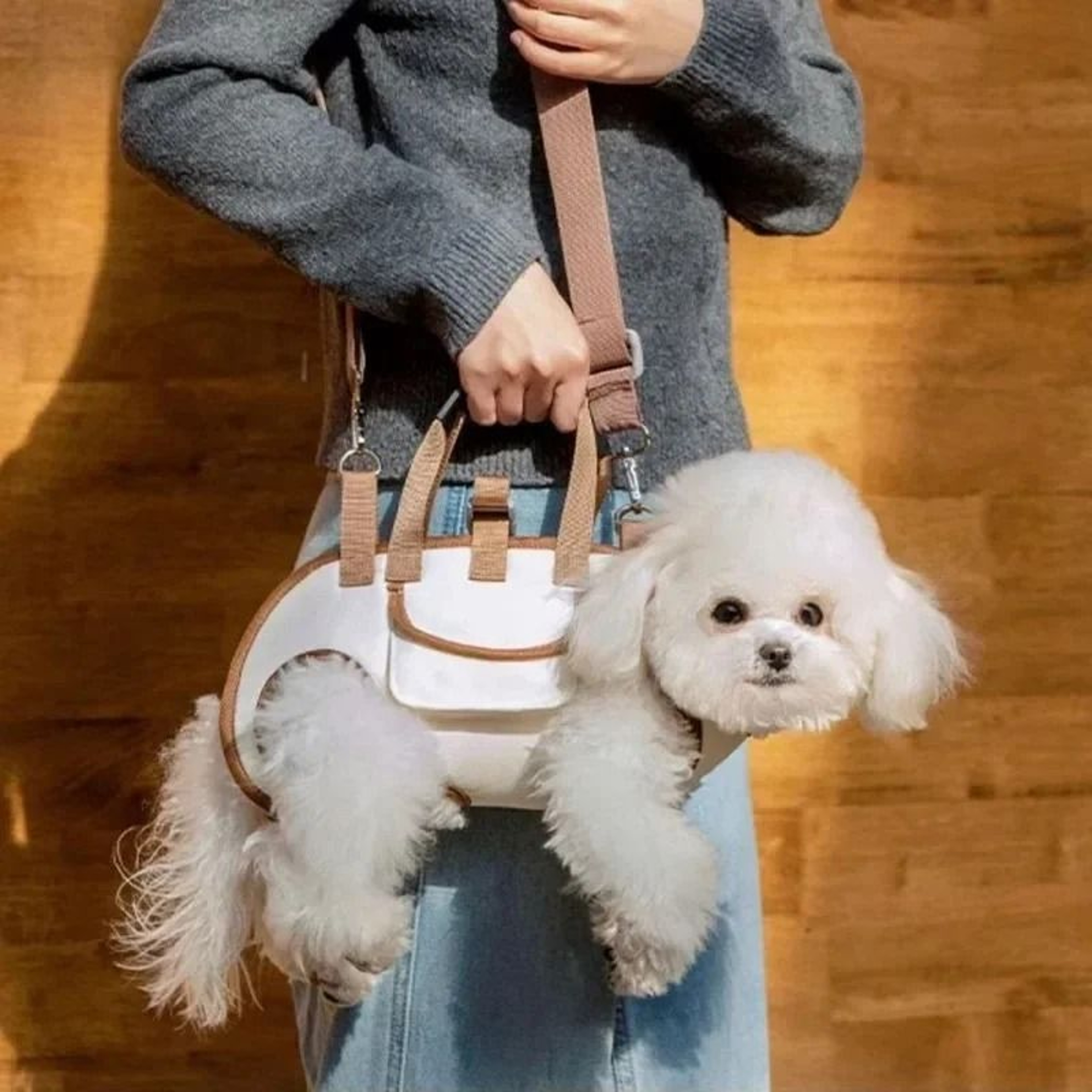Hands Free Small Dog Carrier Sling Backpack With Leash Attachment 1