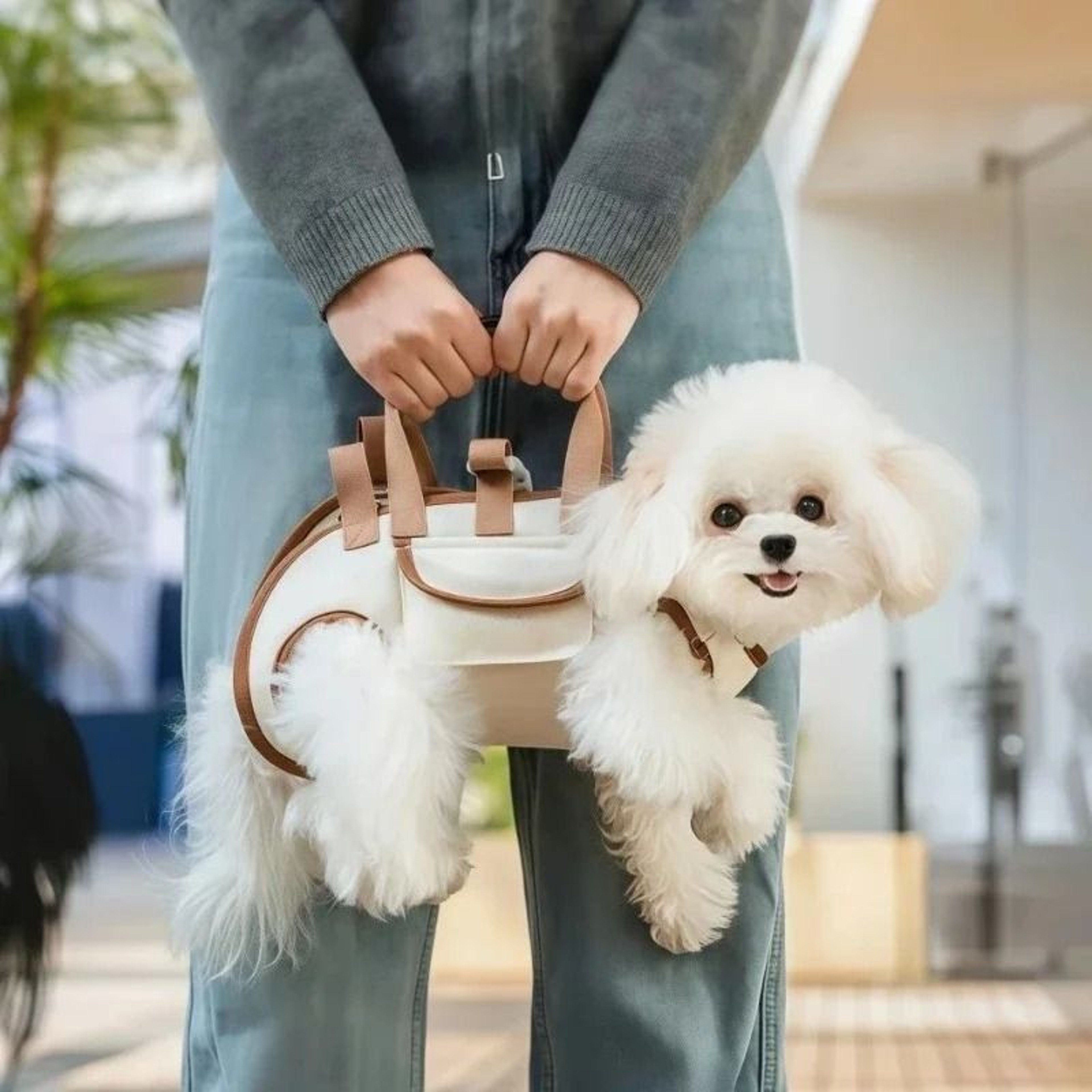 Hands Free Small Dog Carrier Sling Backpack With Leash Attachment 2