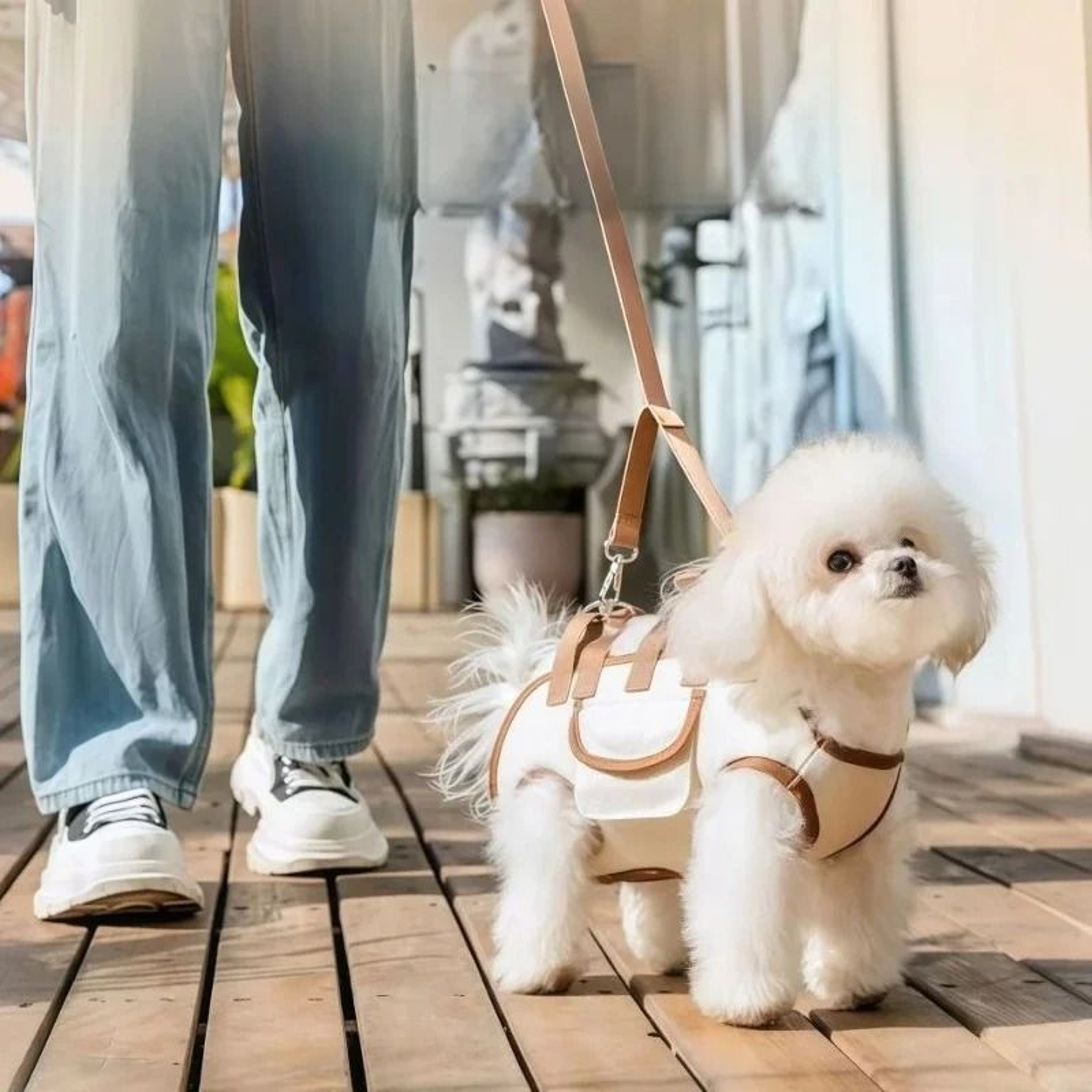 Hands Free Small Dog Carrier Sling Backpack With Leash Attachment 3