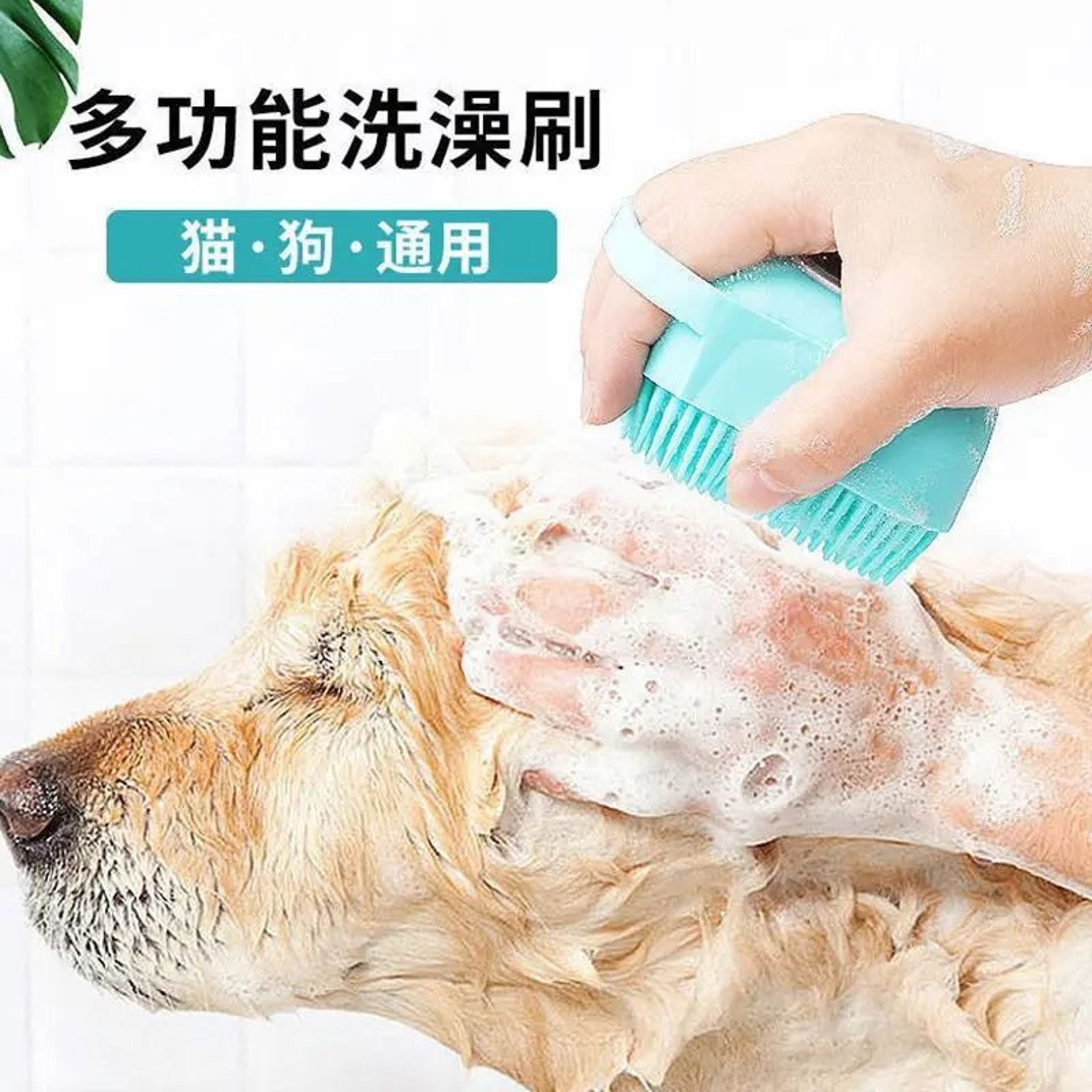 Pet Dog Shampoo Brush Silicone Bath Scrubber Massage Comb For Cats 3