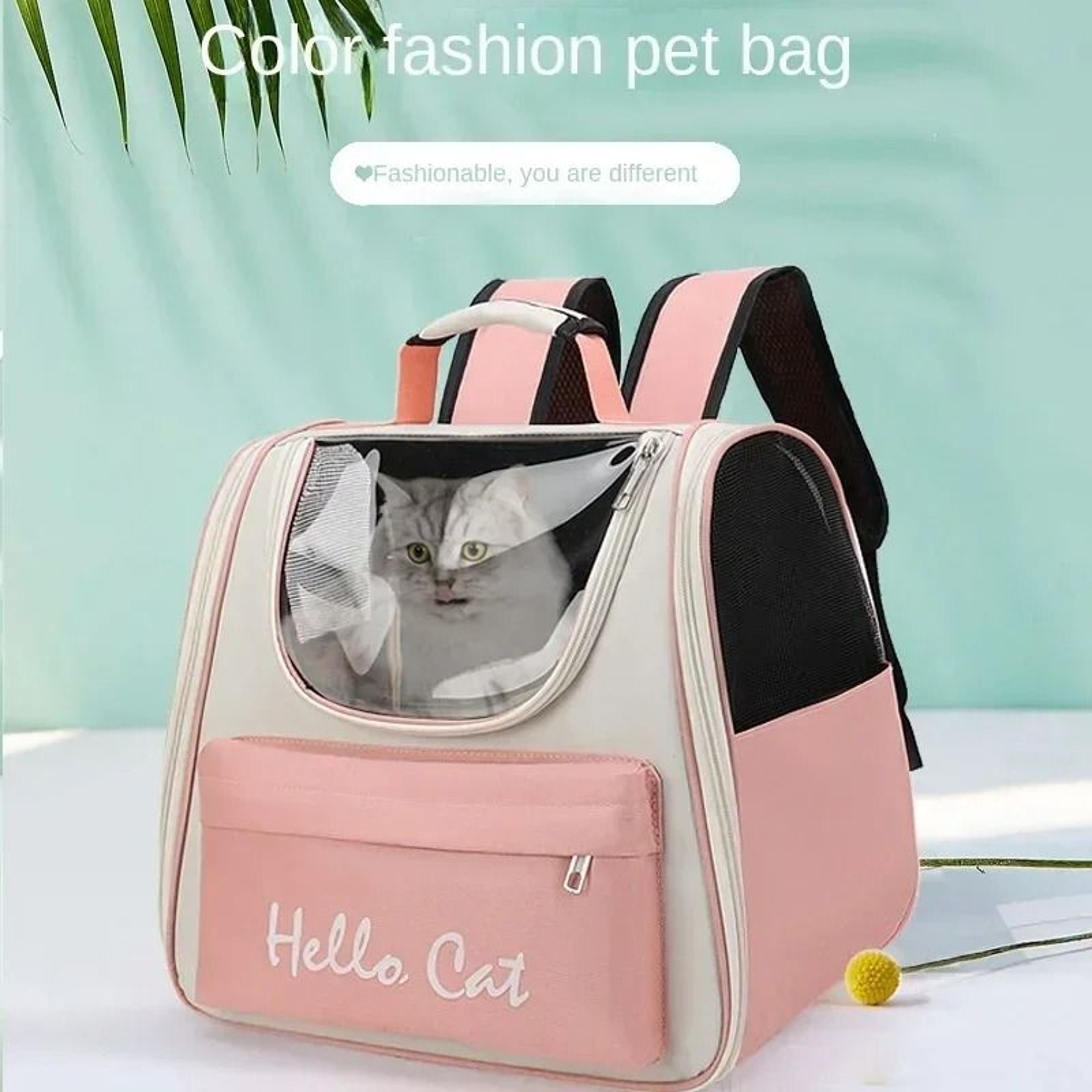 Transparent Pet Carrier Backpack Windproof Travel Bag For Cats And Small Dogs 0