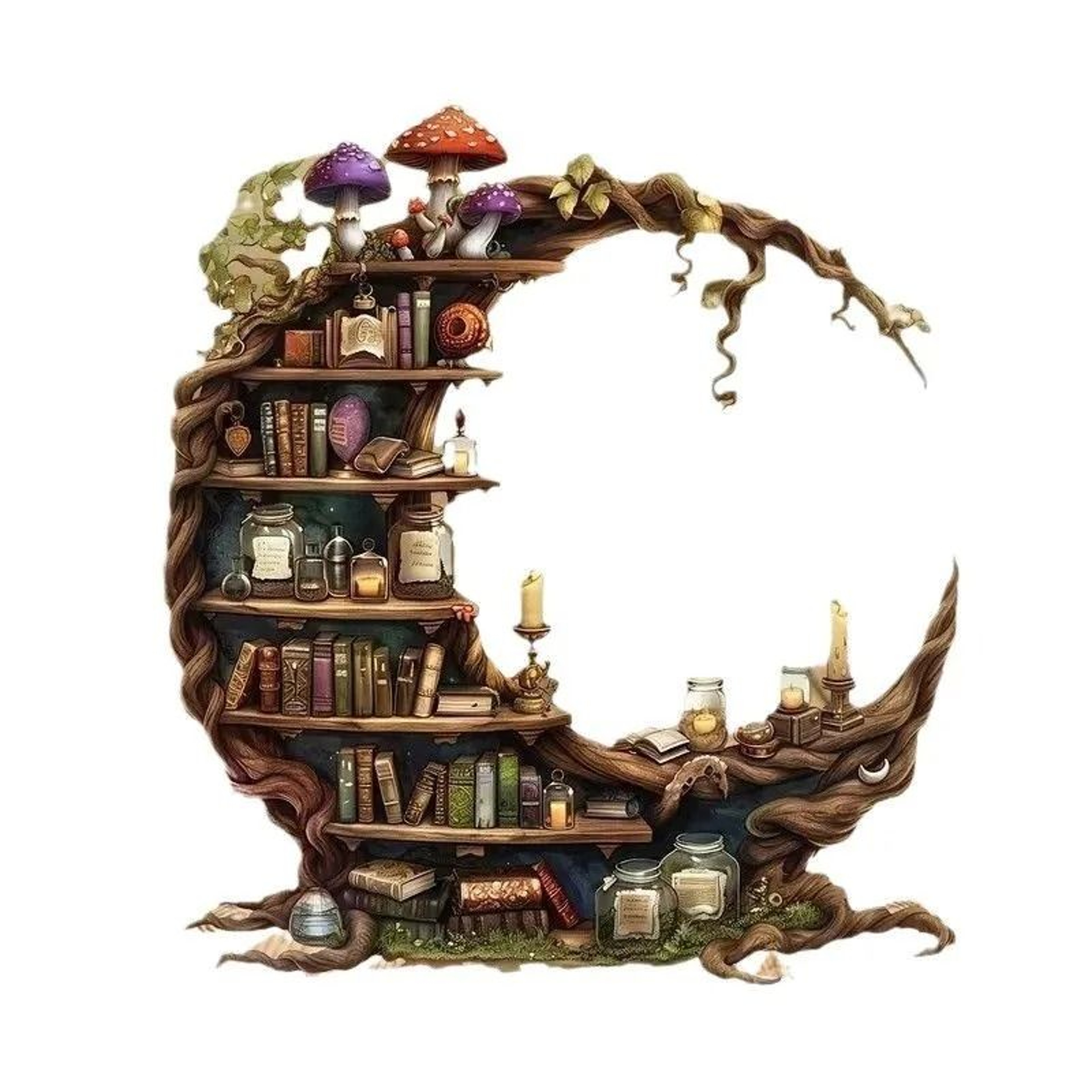 Crescent Shaped Acrylic Desktop Decorative Bookshelf Design For Home And Office 4