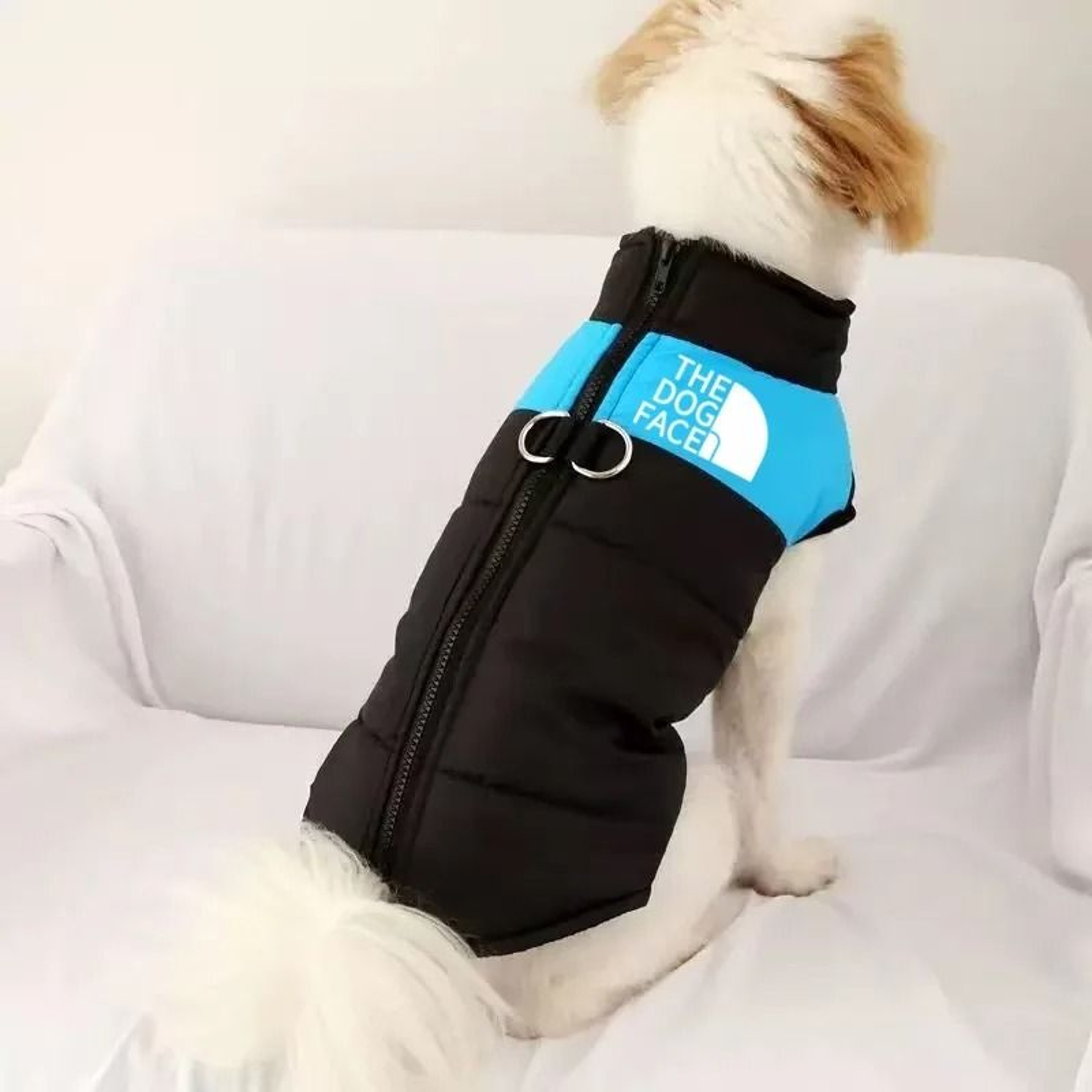 Dog Fashion Sports Outdoor Hoodie Coat 2