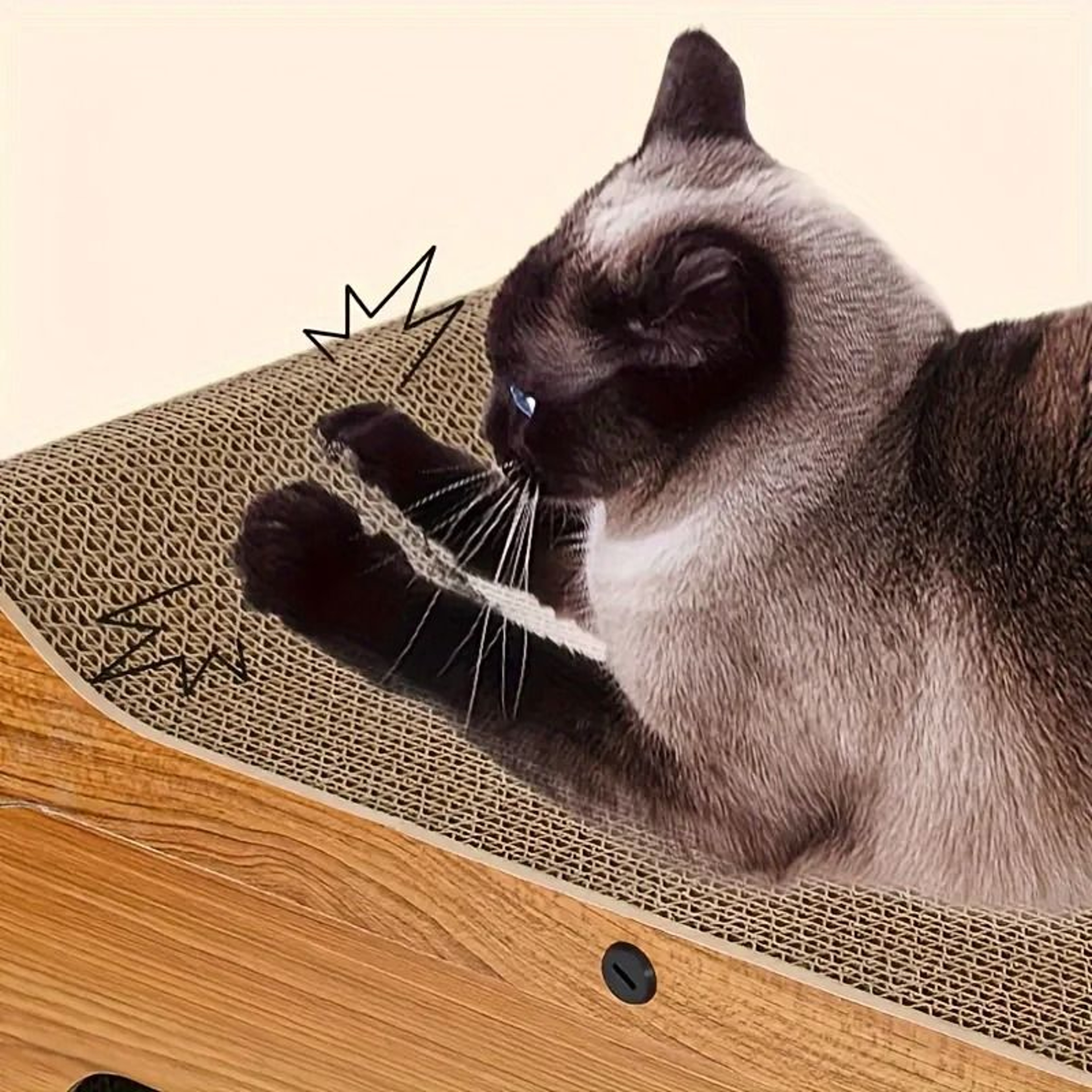 AllSeason Interactive Cat Scratching Sofa  Nest 3