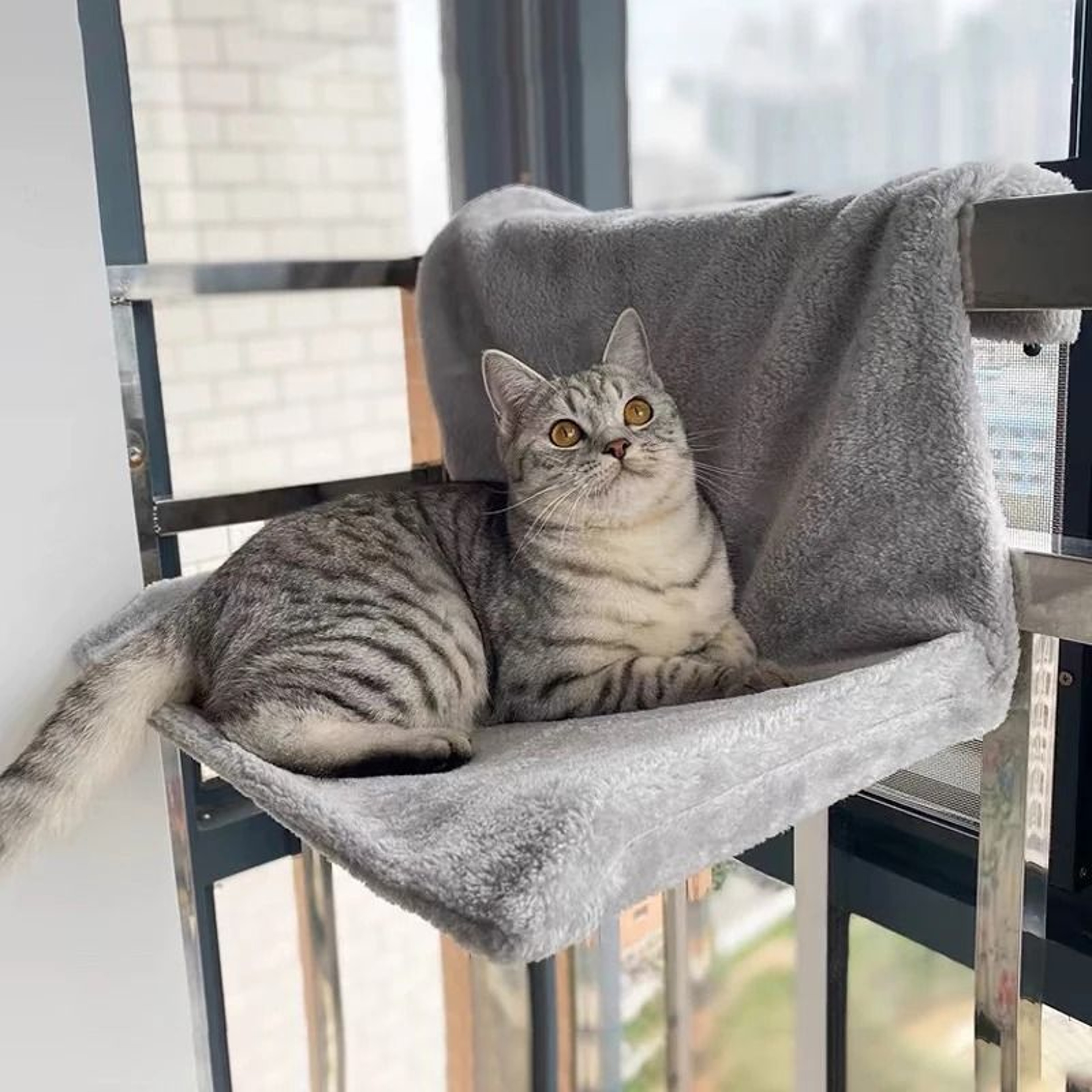 MultiFunctional Cat Scratching Sofa And Nest 0