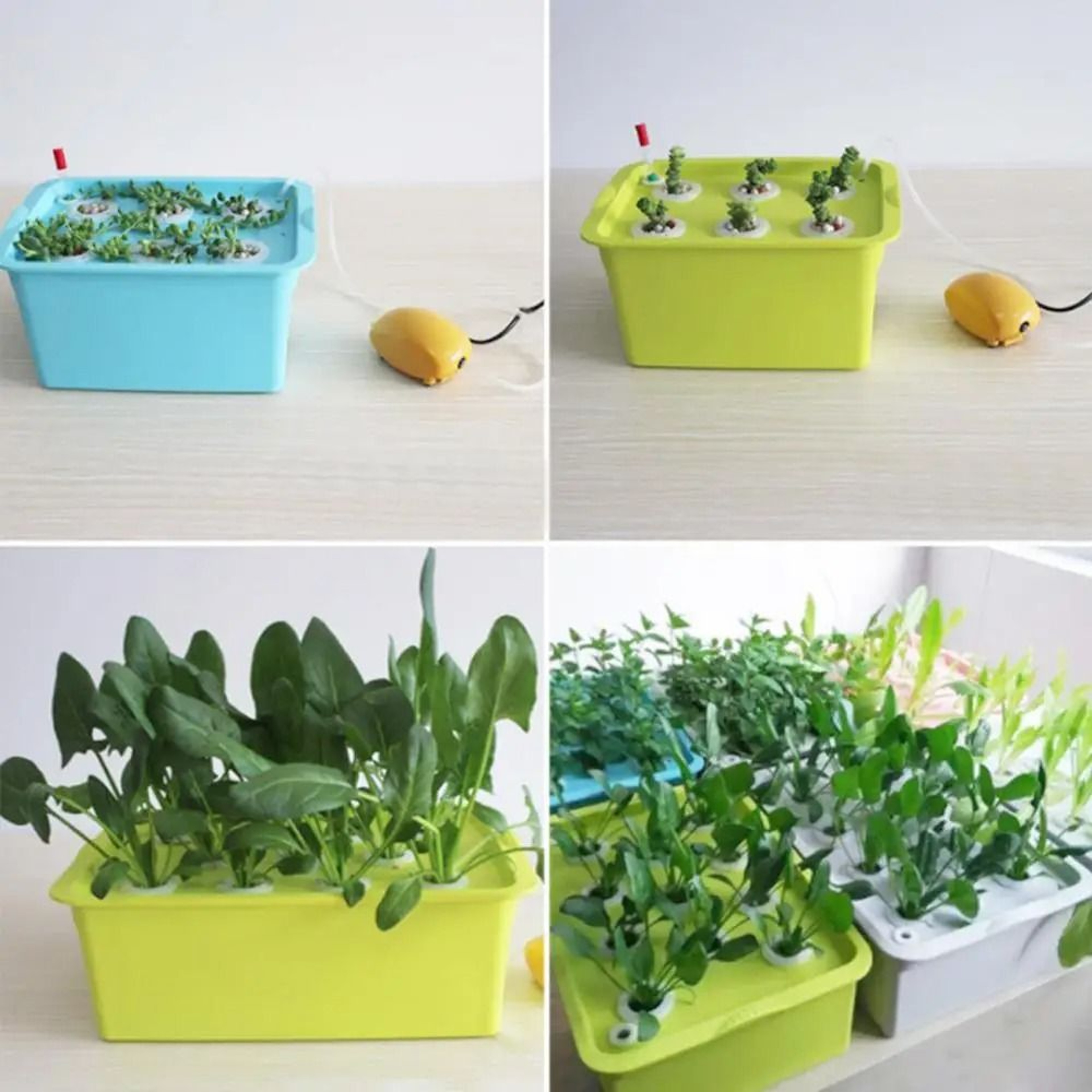 6Hole Indoor Hydroponic Growth System 5