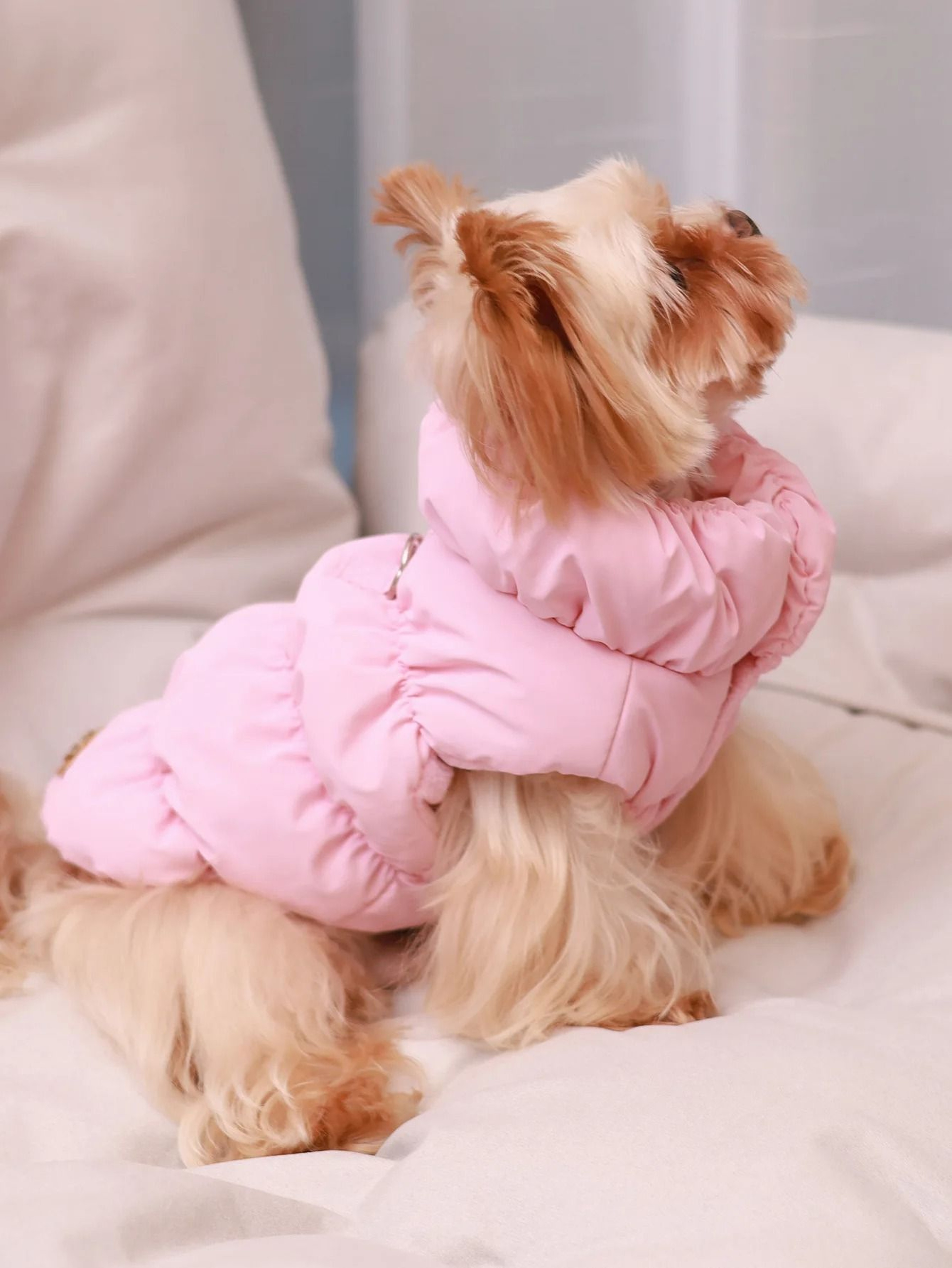 Premium Dog Jacket For AutumnWinter 0