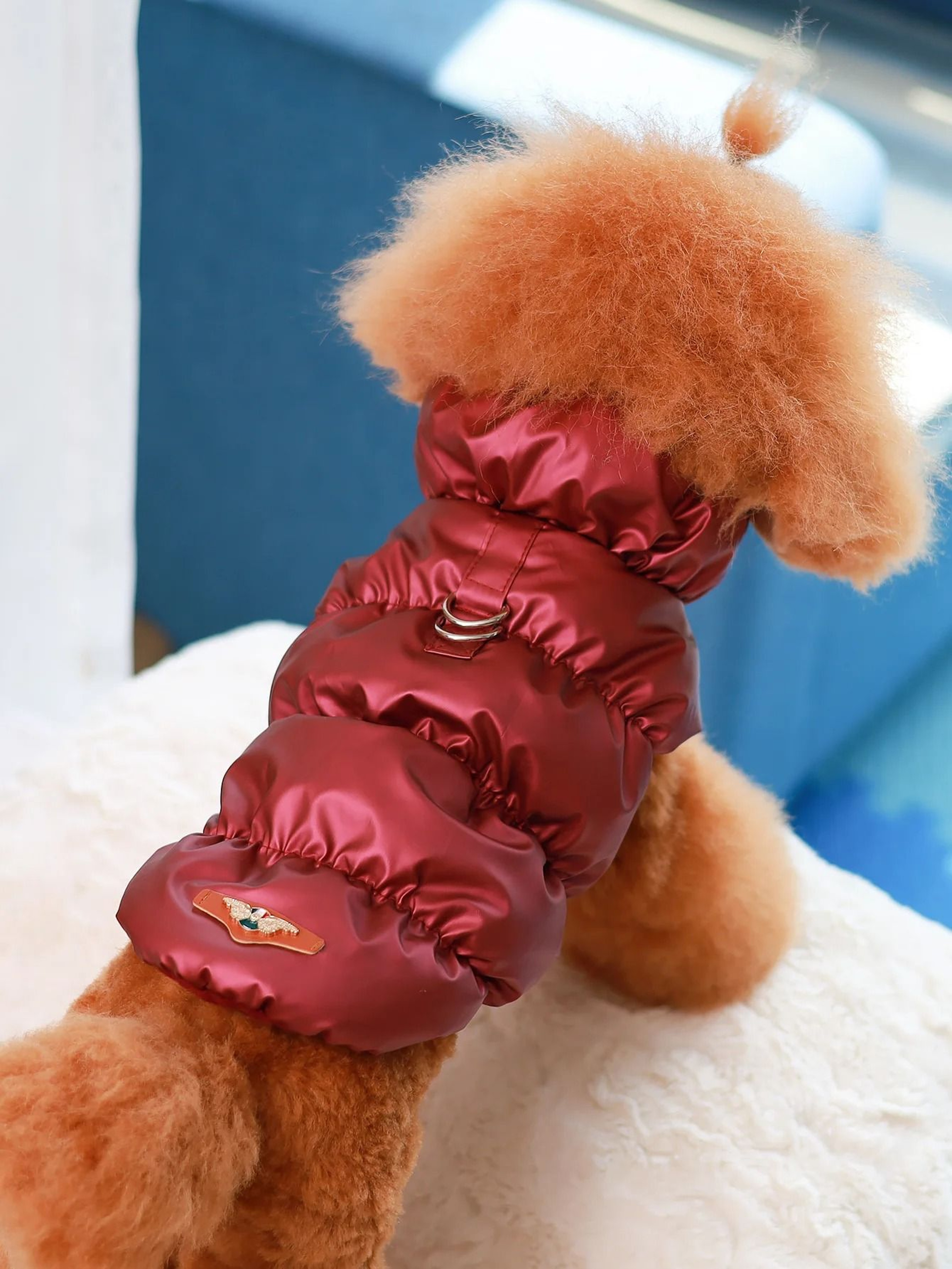 Premium Dog Jacket For AutumnWinter 12