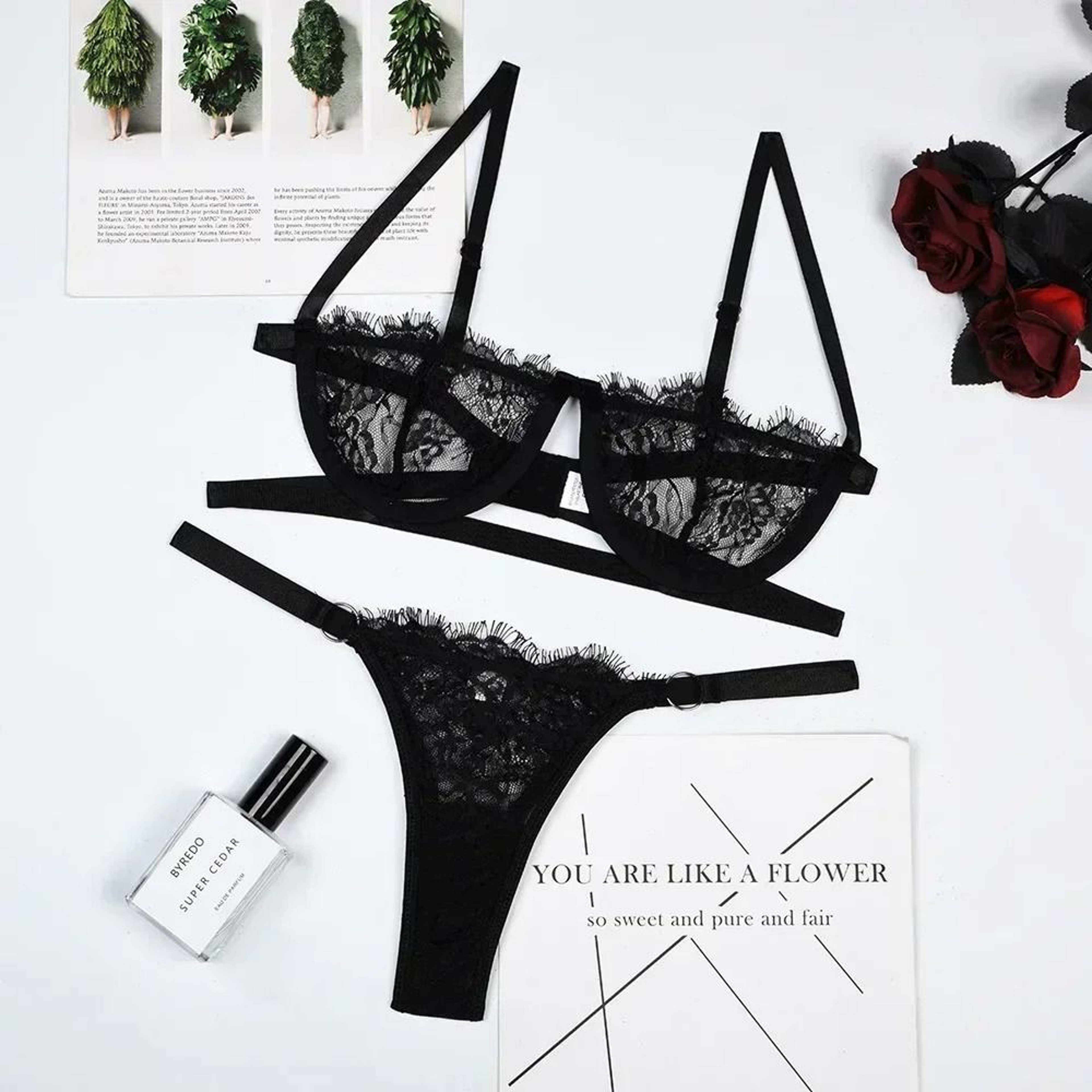 Fairy Embroidery Push Up Lingerie Lace Transparent Underwear Delicate Bra Brief Set 5