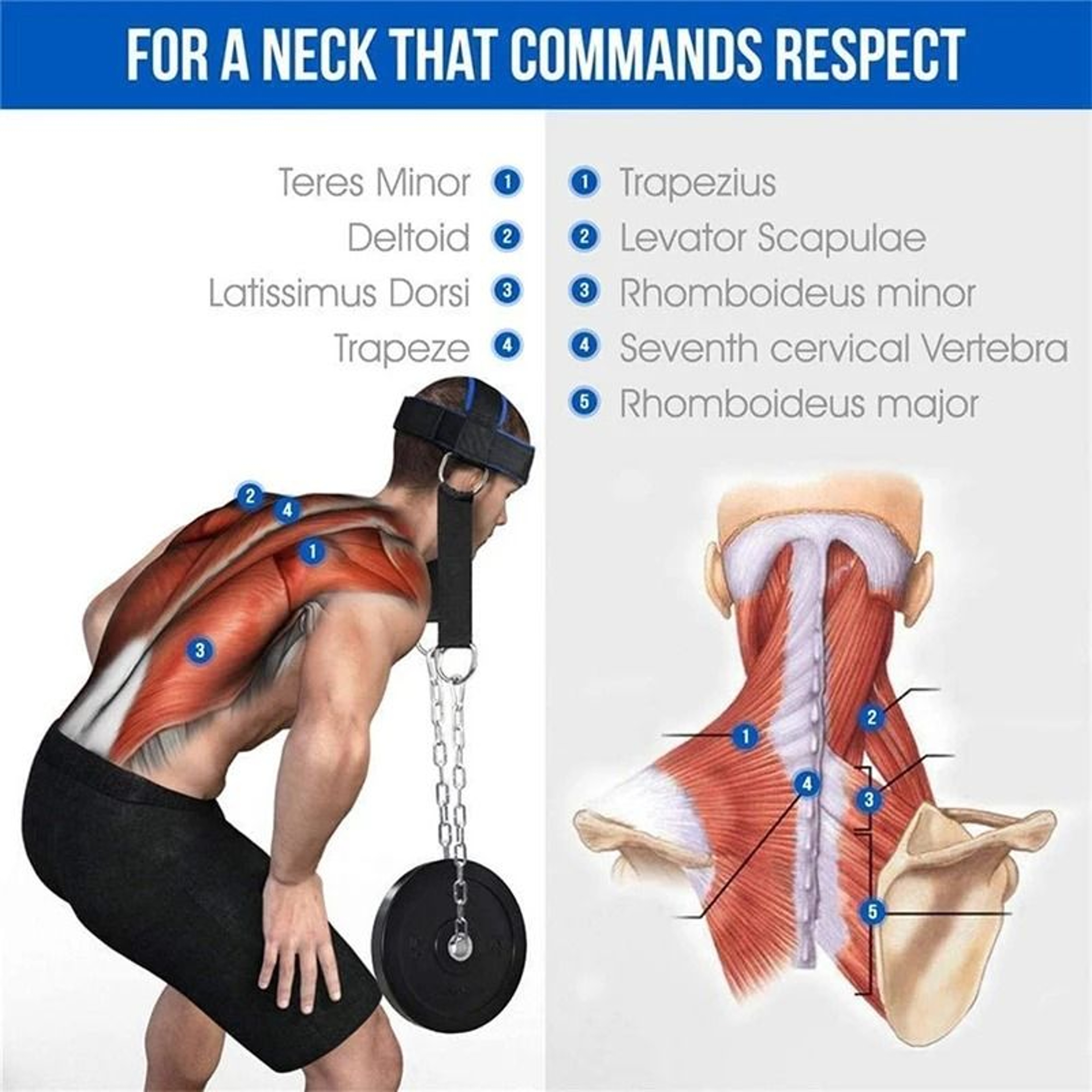 Head Neck Training Harness  Adjustable Weight Bearing Power Strap 5