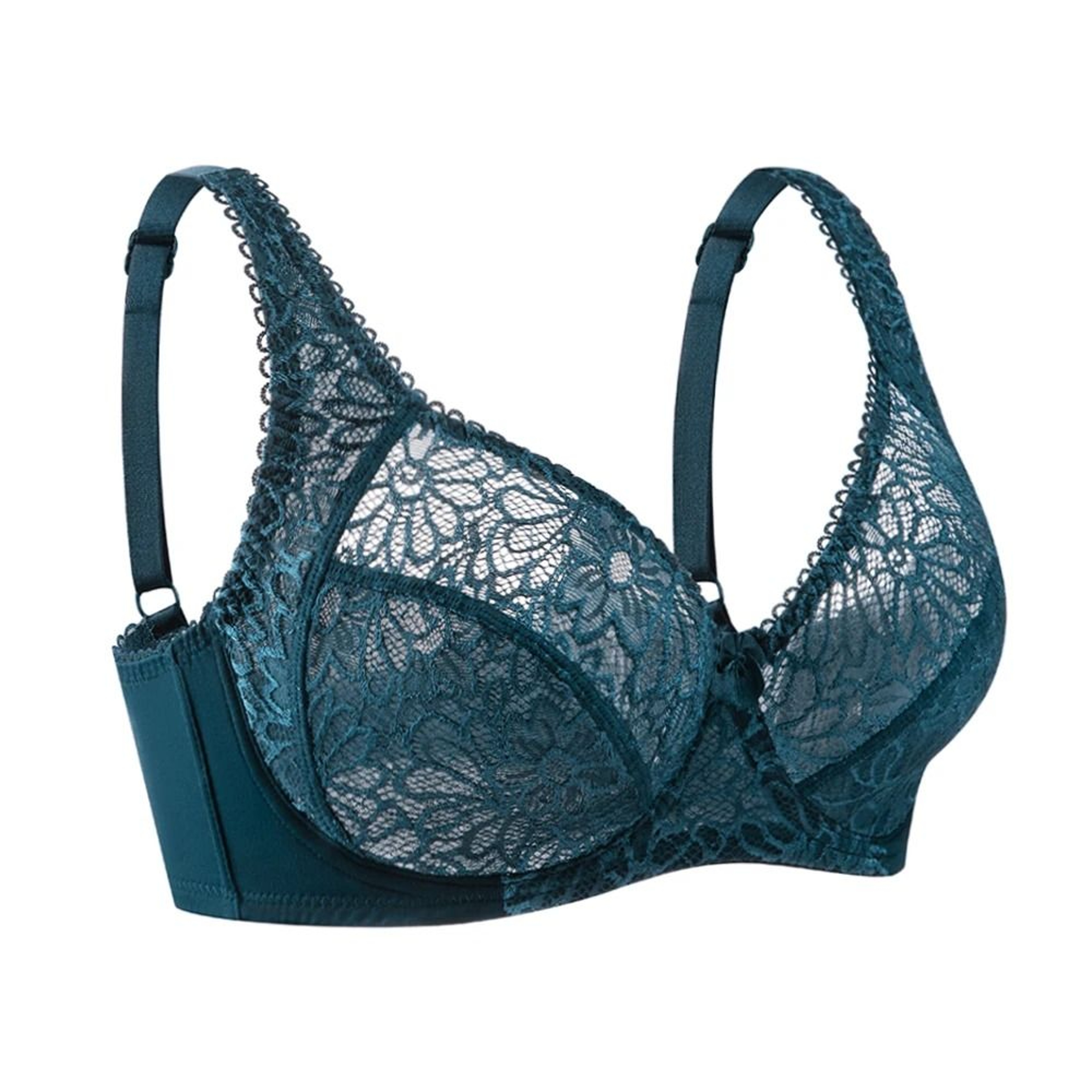 Plus Size Lace Elegance Bra  Modern Sexy Lingerie Tops 1