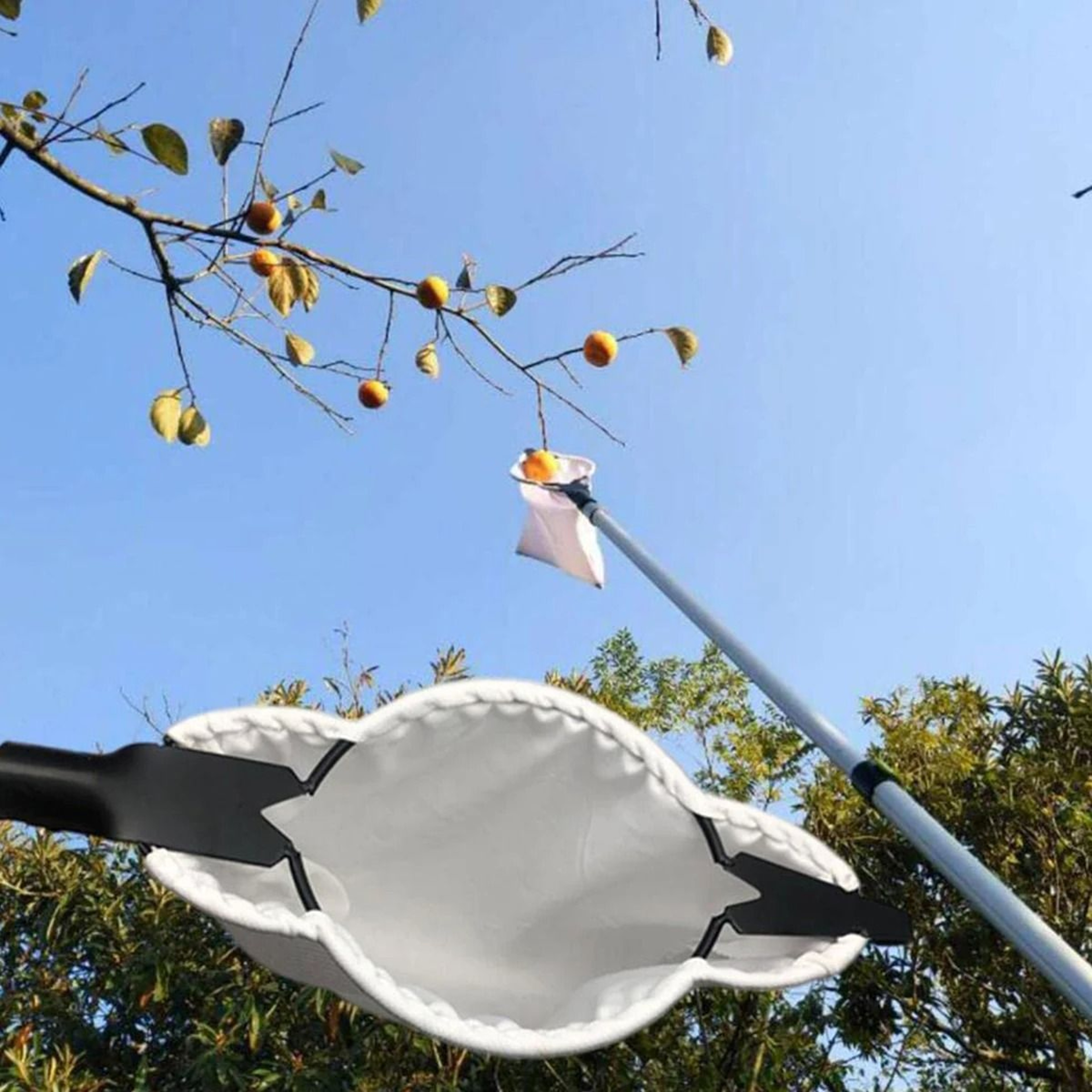 Professional Fruit Picker With Collection Pouch  High Tree Harvesting Tool For Orchards And Farms 0