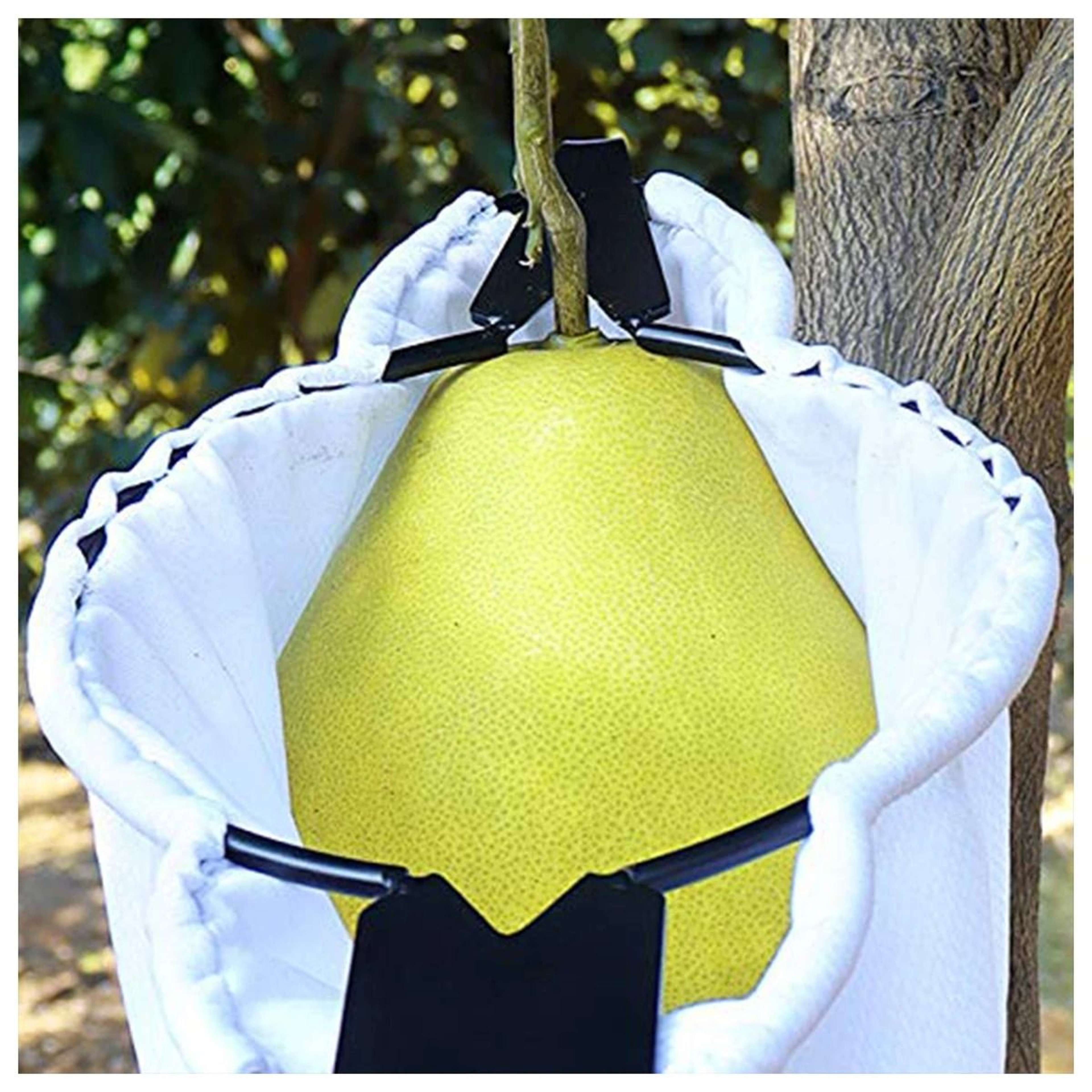 Professional Fruit Picker With Collection Pouch  High Tree Harvesting Tool For Orchards And Farms 2