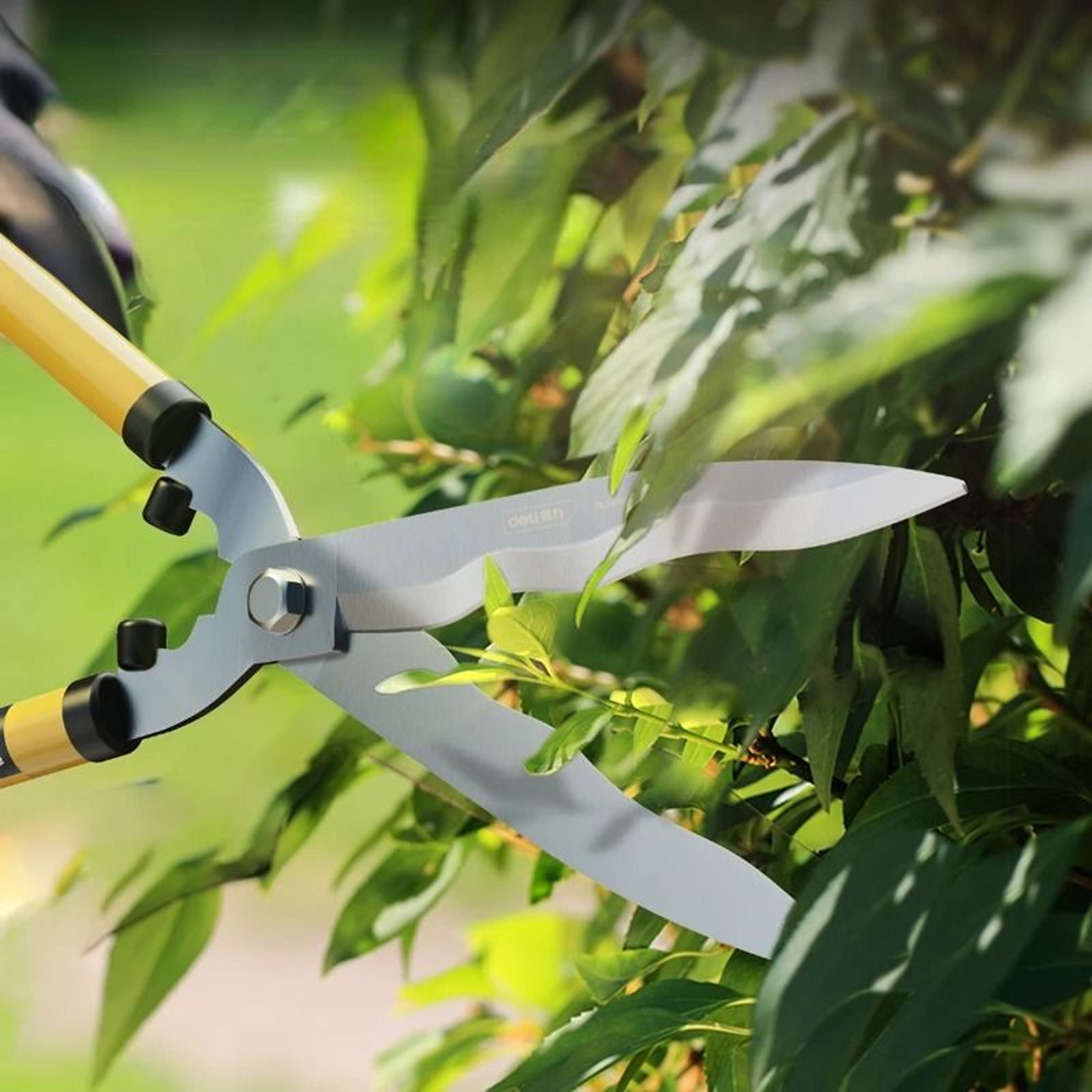 Deli Professional Garden Pruning Shears  HeavyDuty Tree Cutter  Grass Pruner For Home Landscaping 5