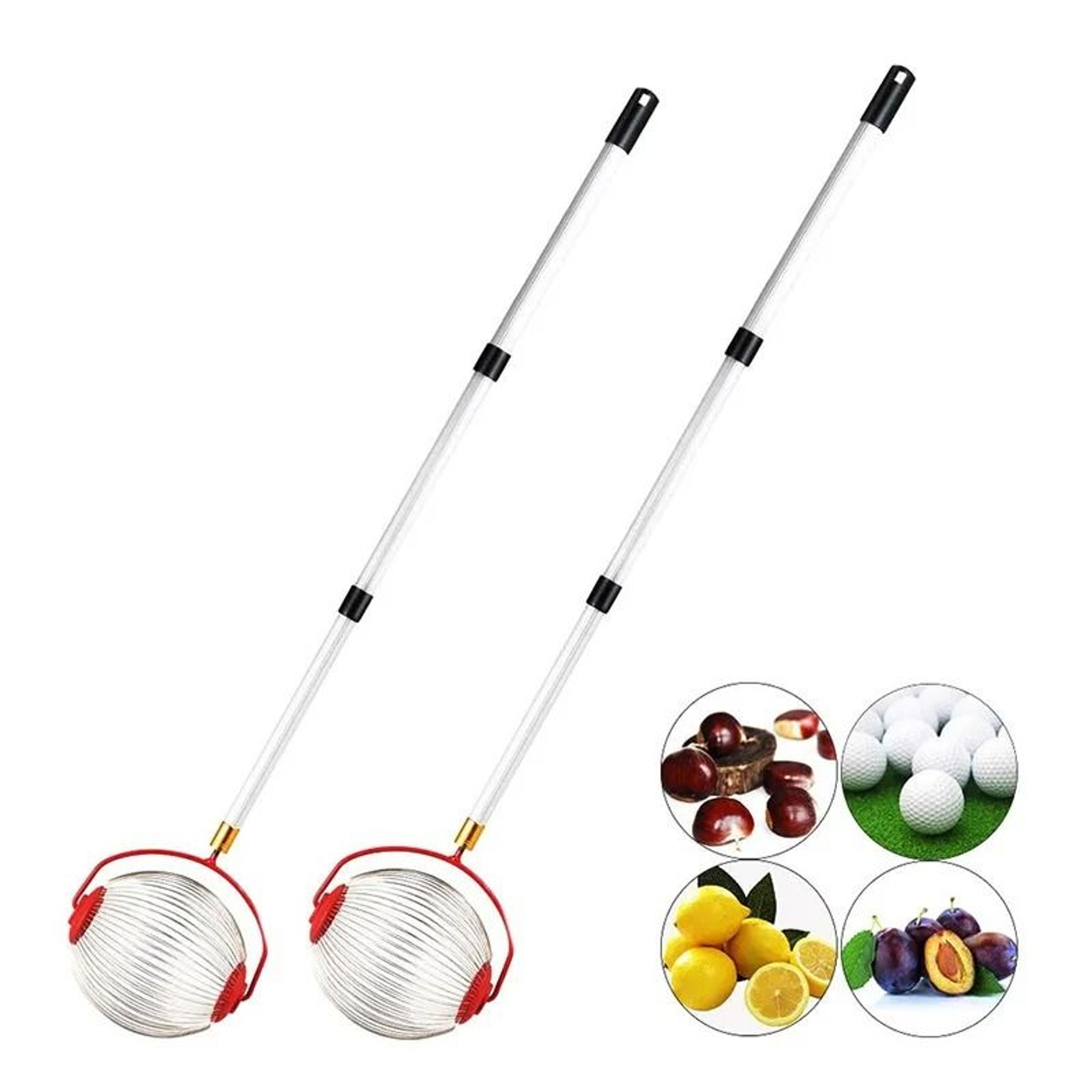 Rolling Nut Gatherer  Ball Collector  Adjustable Lightweight Outdoor Manual Tool For Walnuts Pecans 0