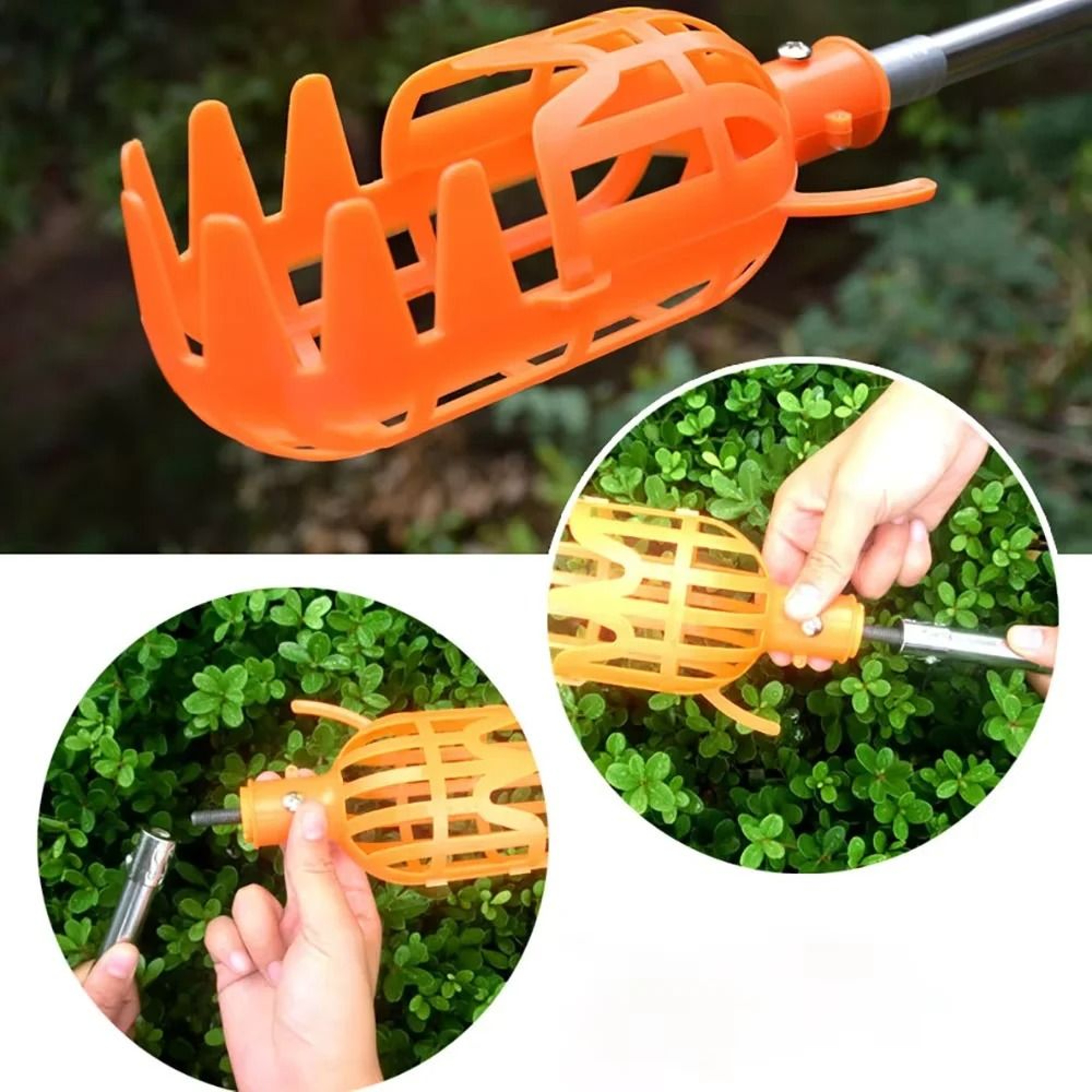 Plastic Fruit Picker Catcher  Handheld Garden Harvesting Tool For Apples Pears And Peaches 0