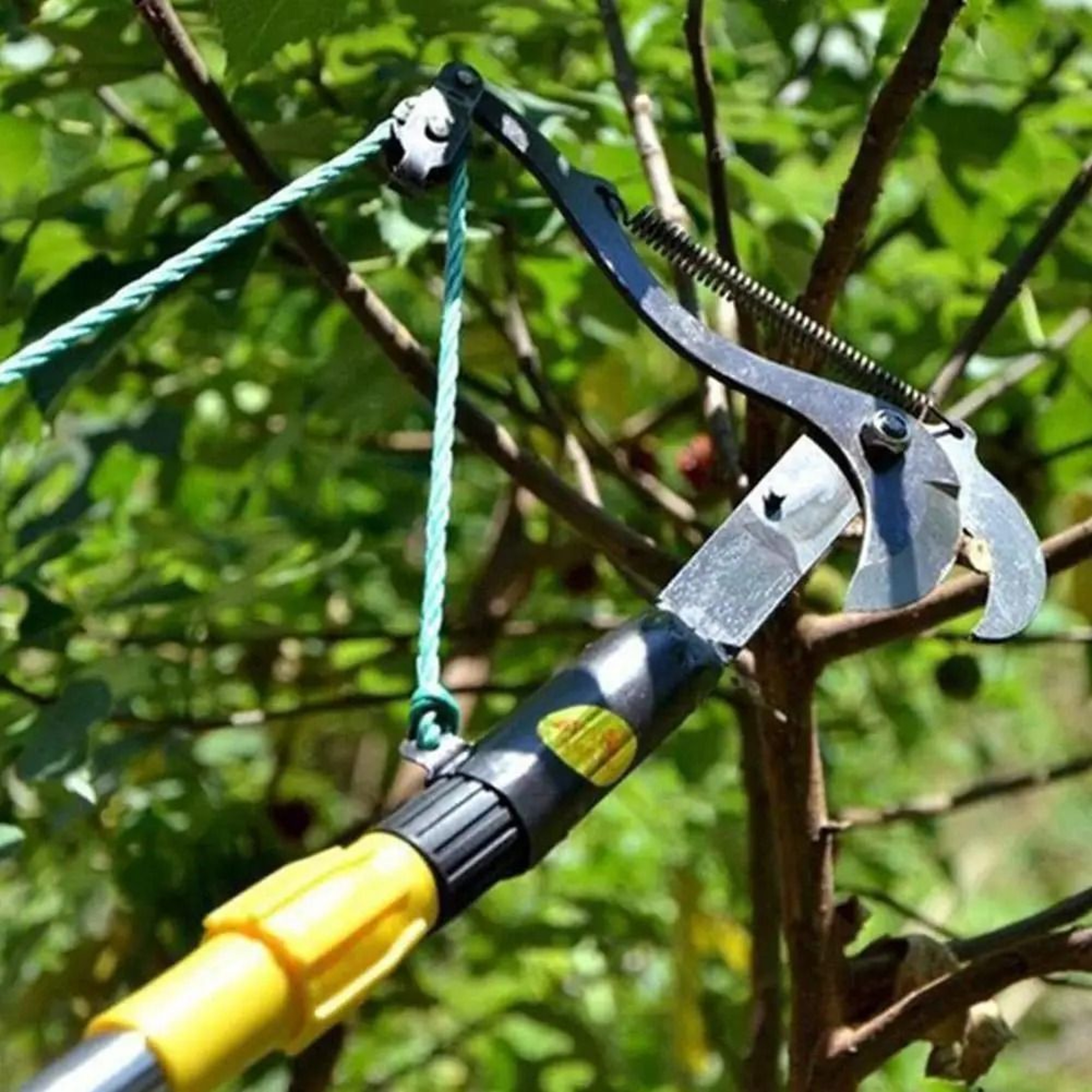 HighBranch Telescopic Scissors  Fruit Picker  PulleyAssisted Trimming  Harvesting Tool 1