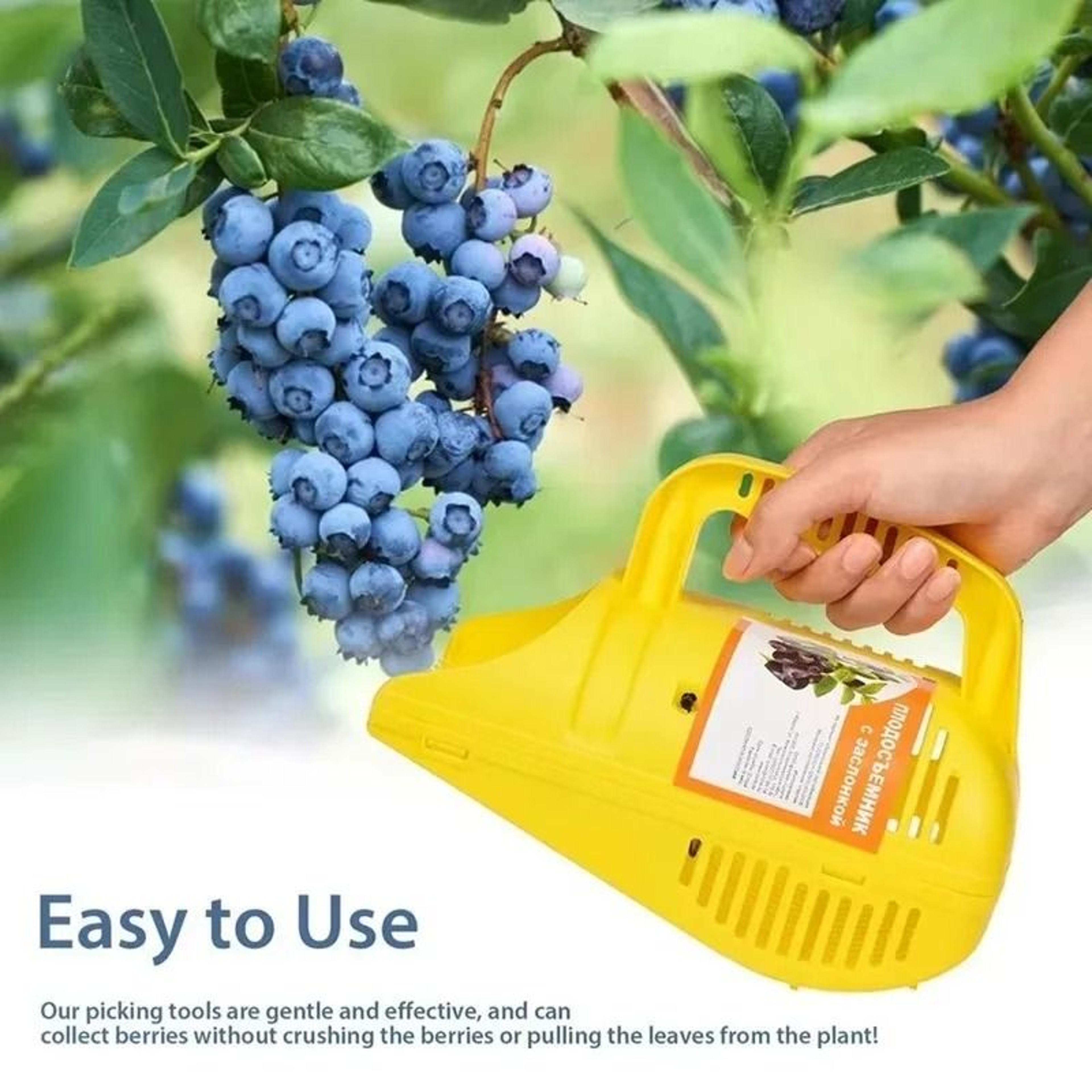 Blueberry Picker  Berry Rake  HighCapacity Harvest Tool With Comb Teeth And Lightweight Handle 4
