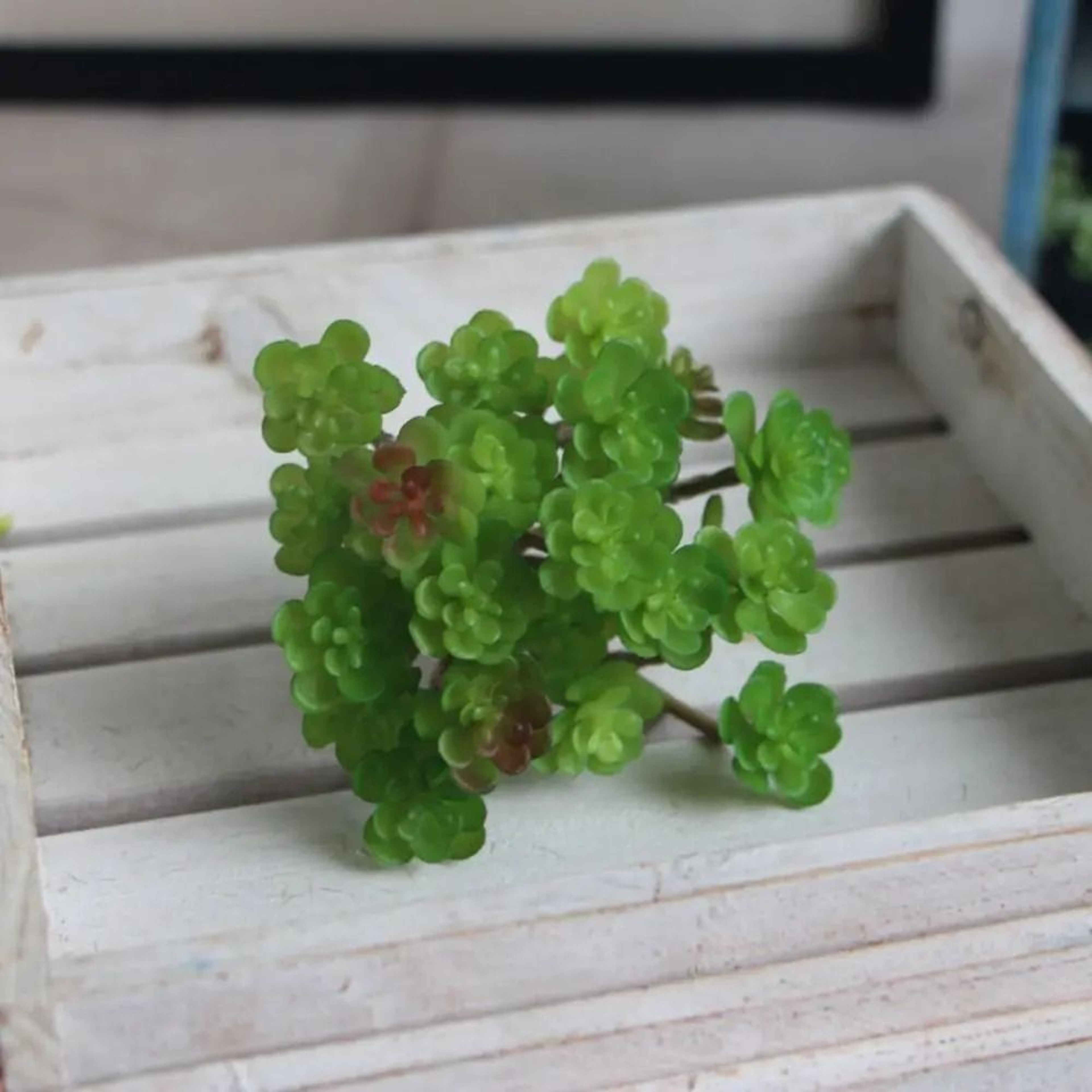 Mini Artificial Cactus Plant  HighPerformance 24Head Realistic Succulent  Real Touch Micro Landscap 6
