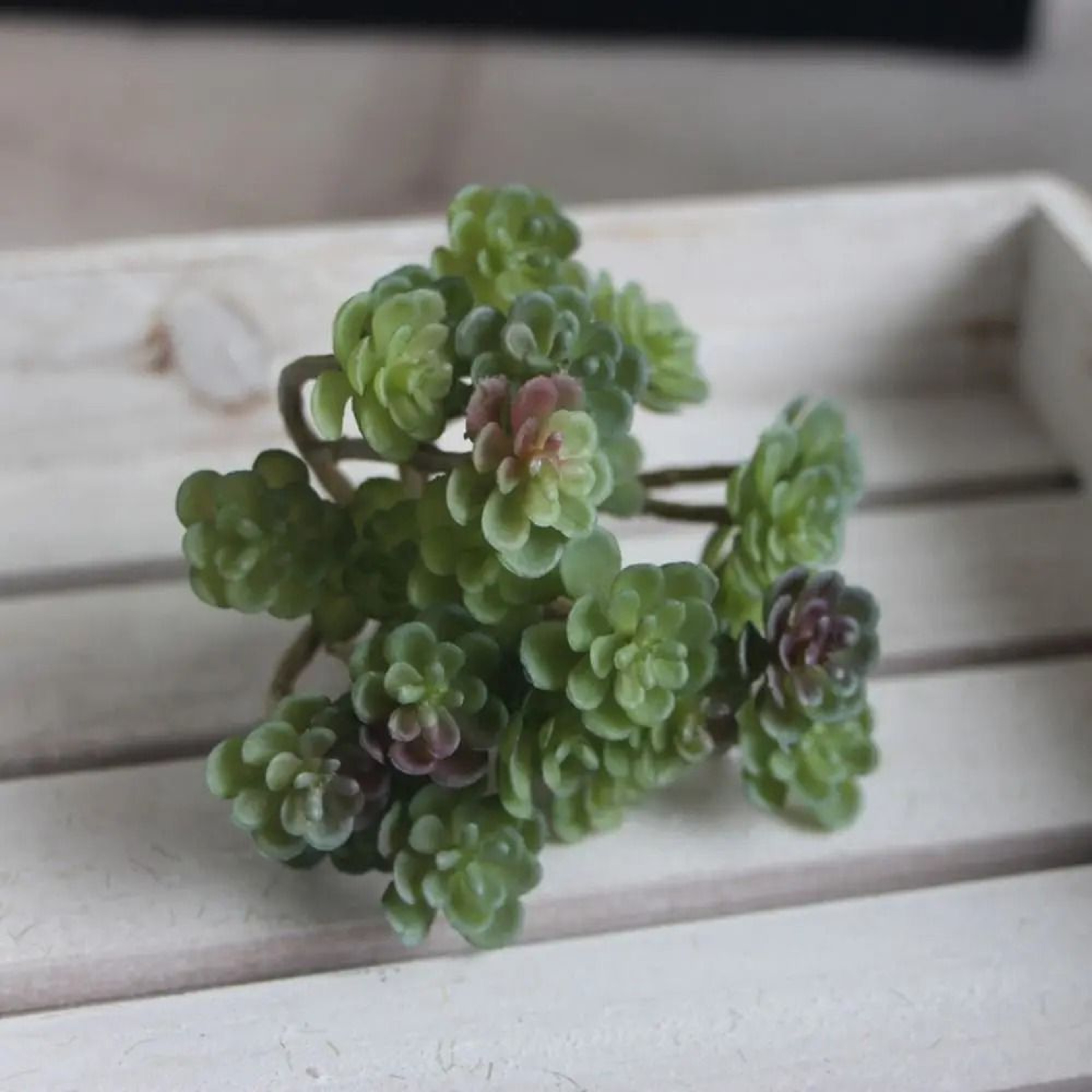 Mini Artificial Cactus Plant  HighPerformance 24Head Realistic Succulent  Real Touch Micro Landscap 8