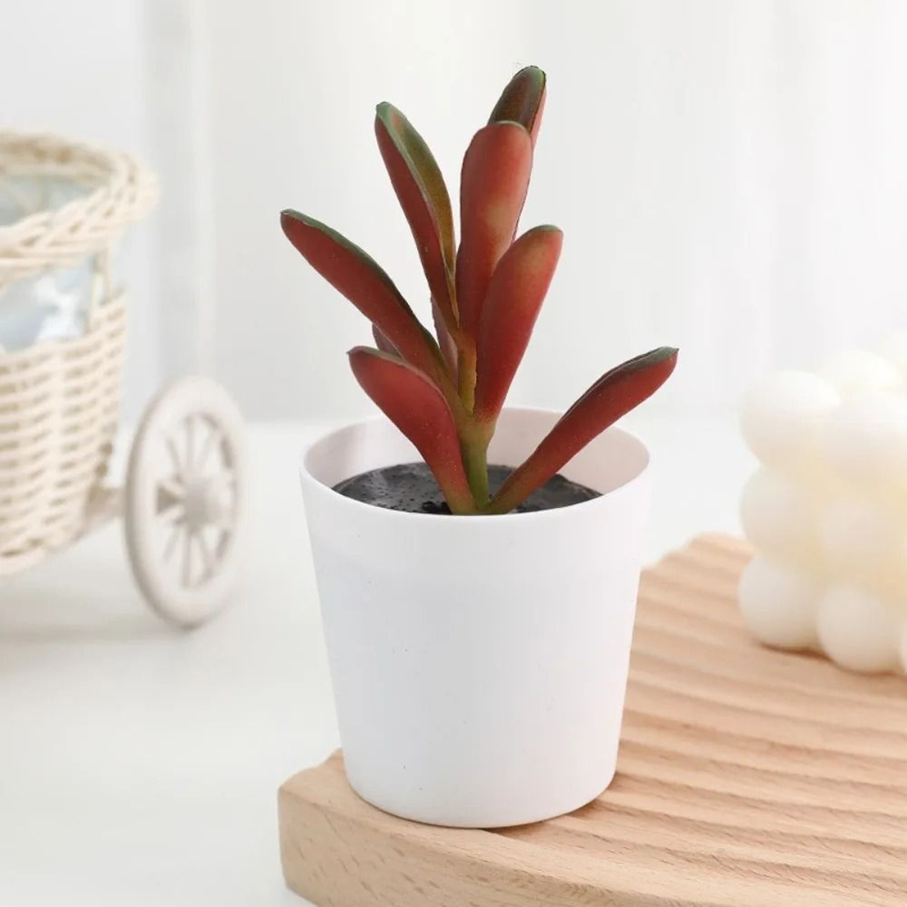 Artificial Succulent Mini Bonsai  HighPerformance Simulation Evergreen Cactus  Fake Plastic Decor P 6