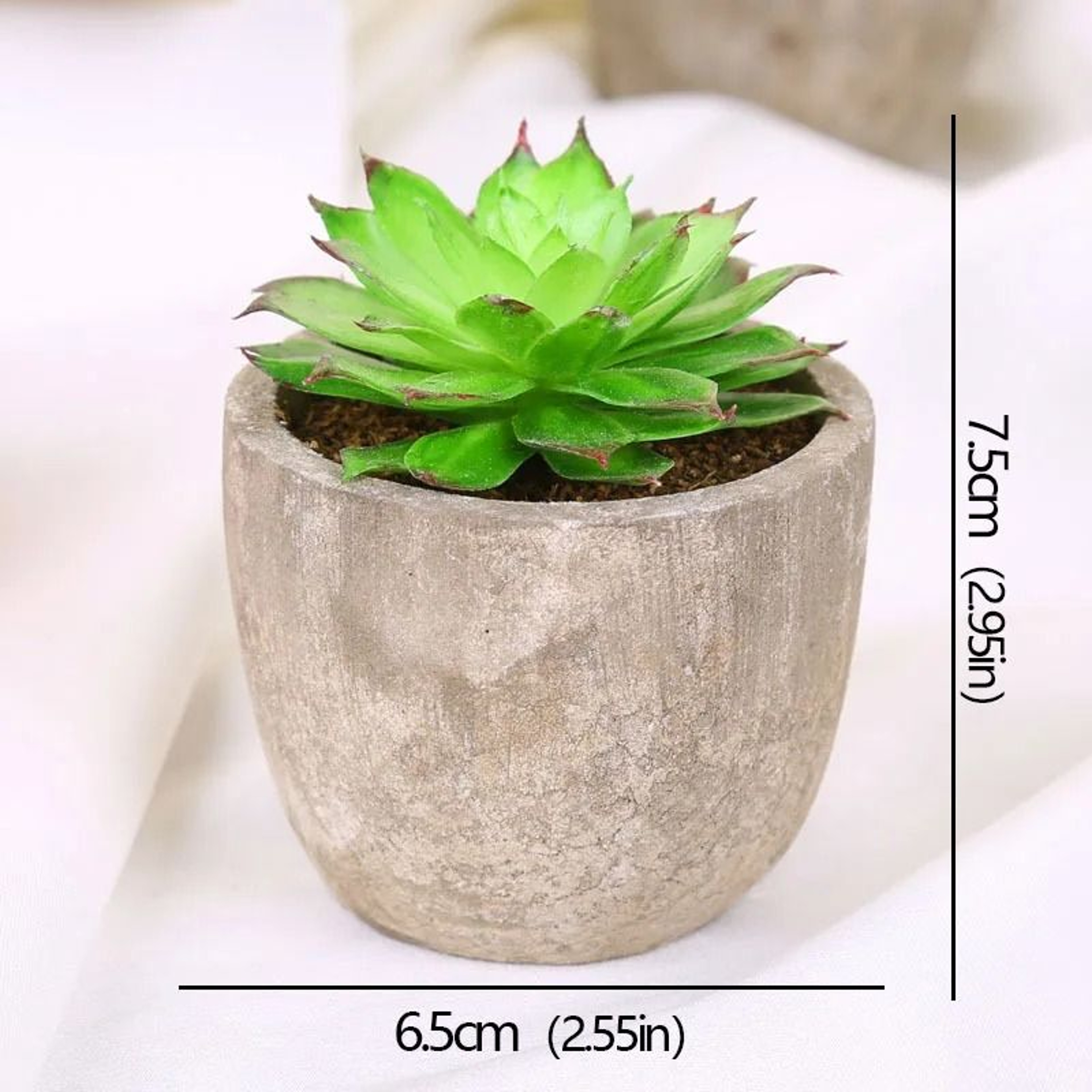 Mini Evergreen Simulated Tree  HighPerformance Artificial Succulent Pot Plant  Office Table Ornamen 13