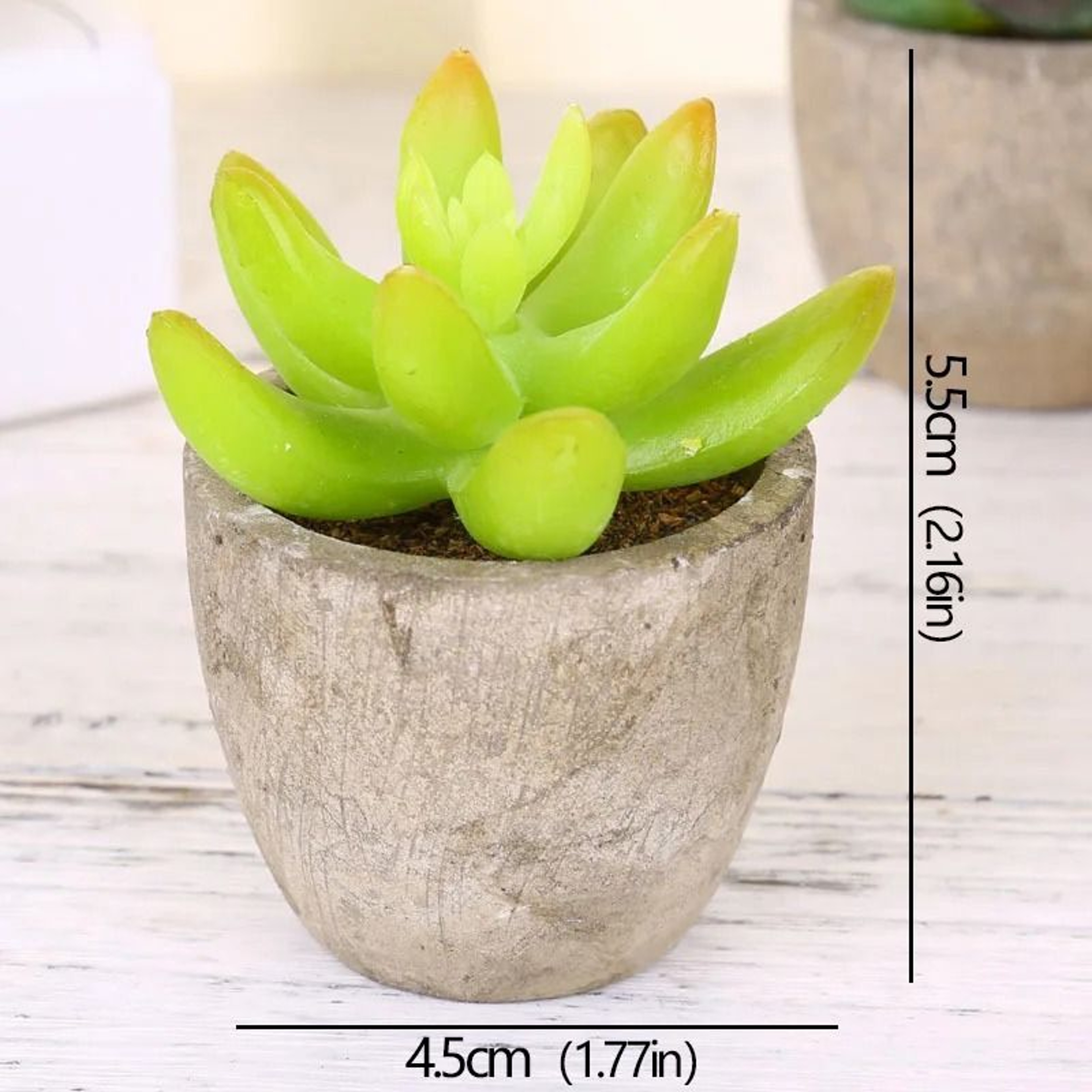 Mini Evergreen Simulated Tree  HighPerformance Artificial Succulent Pot Plant  Office Table Ornamen 8