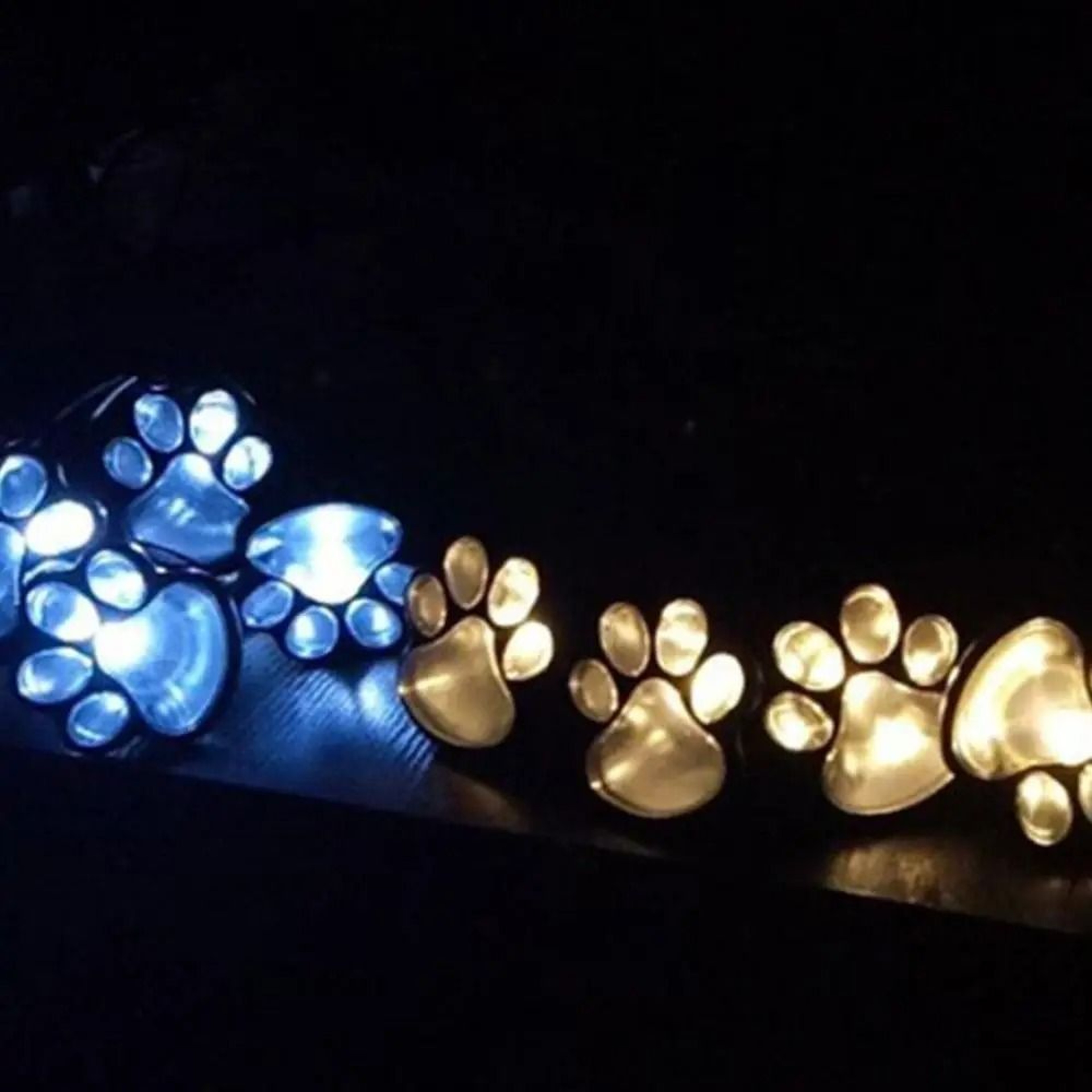 Solar Paw Print Landscape Lights  IP65 Waterproof LED Stone Imitation Garden  Yard Lamps 2