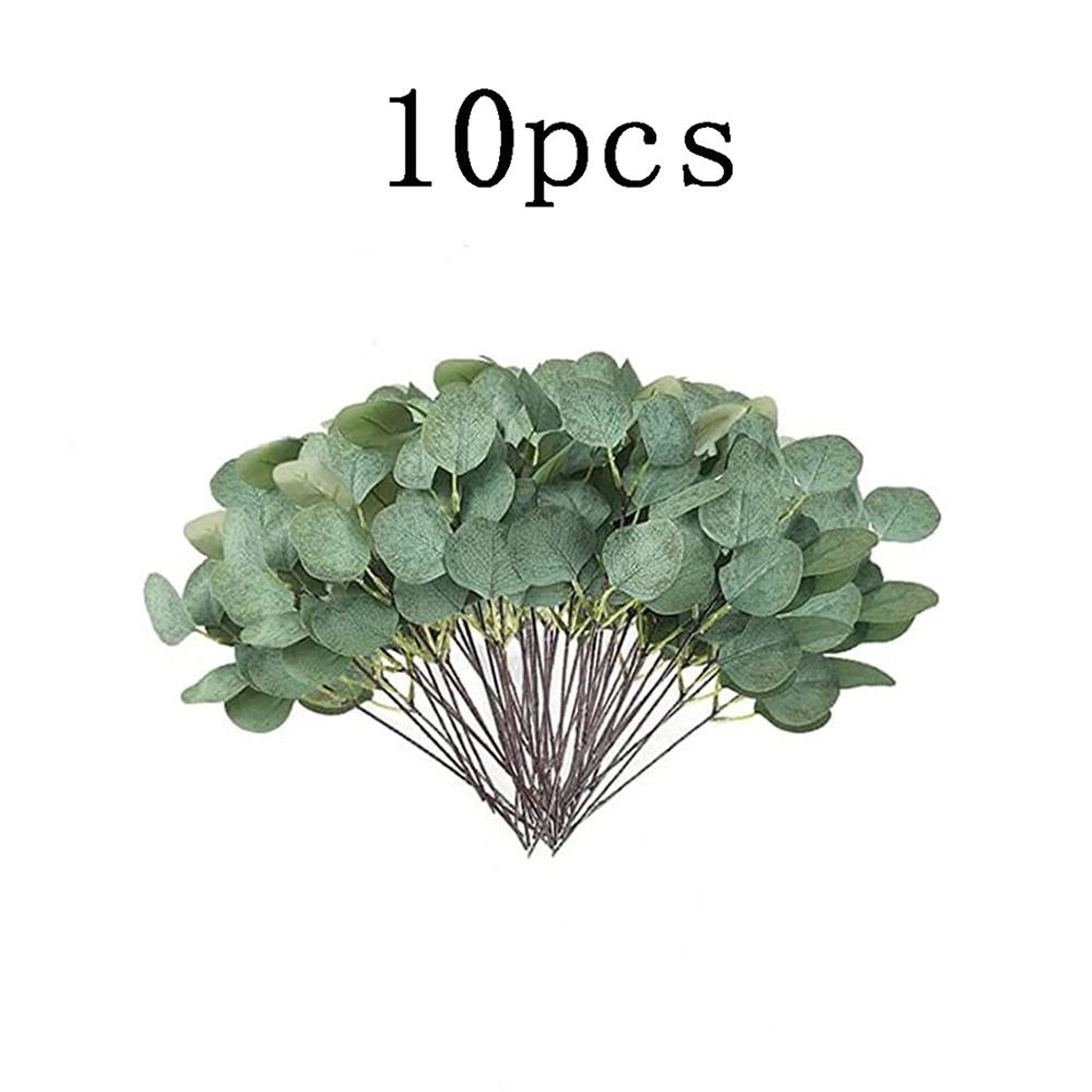 Premium Mixed Eucalyptus Greenery Stems Bulk Set 12