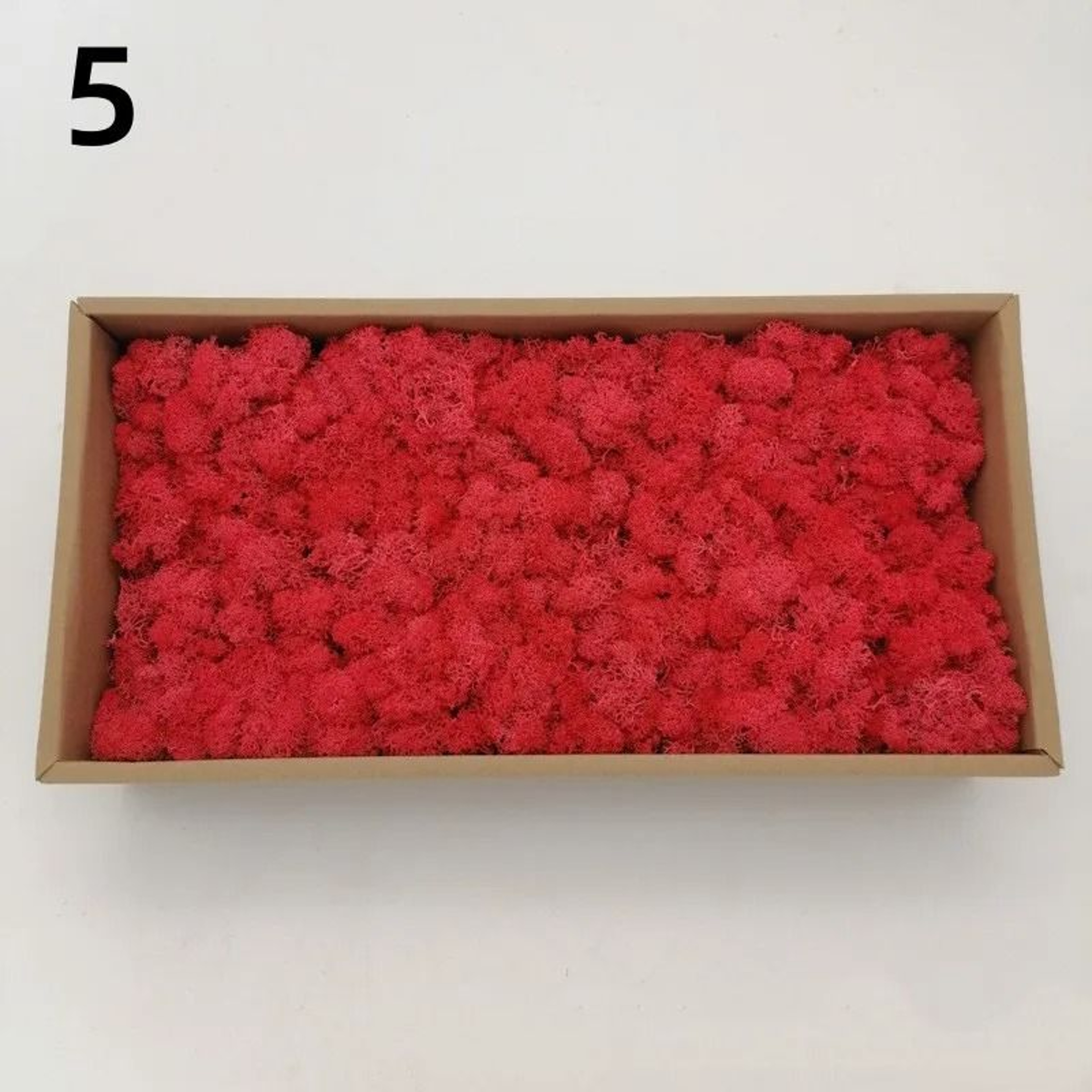 Premium Artificial Forest Moss  Eternal Life Green Grass For Terrariums  Mini Landscapes 11
