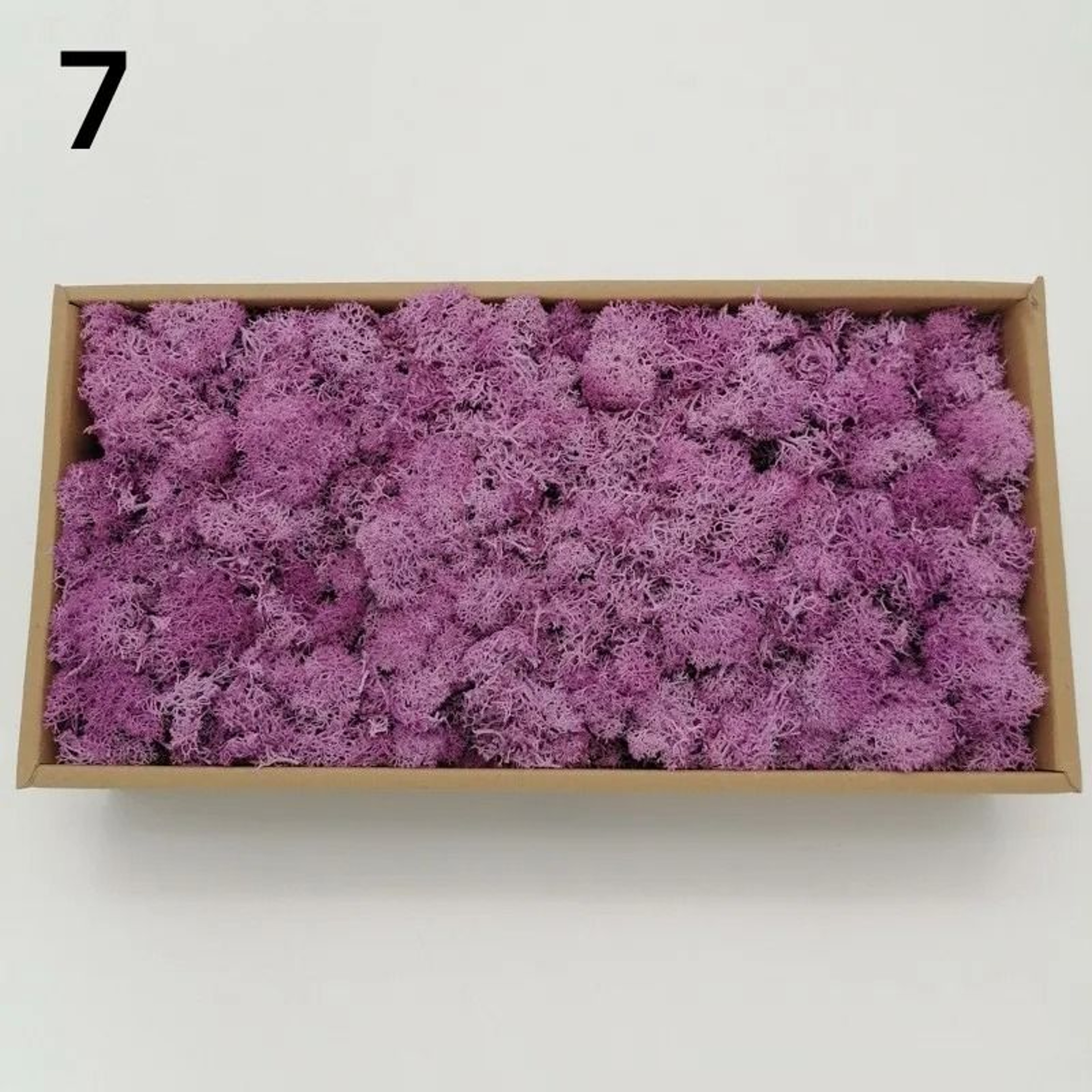 Premium Artificial Forest Moss  Eternal Life Green Grass For Terrariums  Mini Landscapes 13