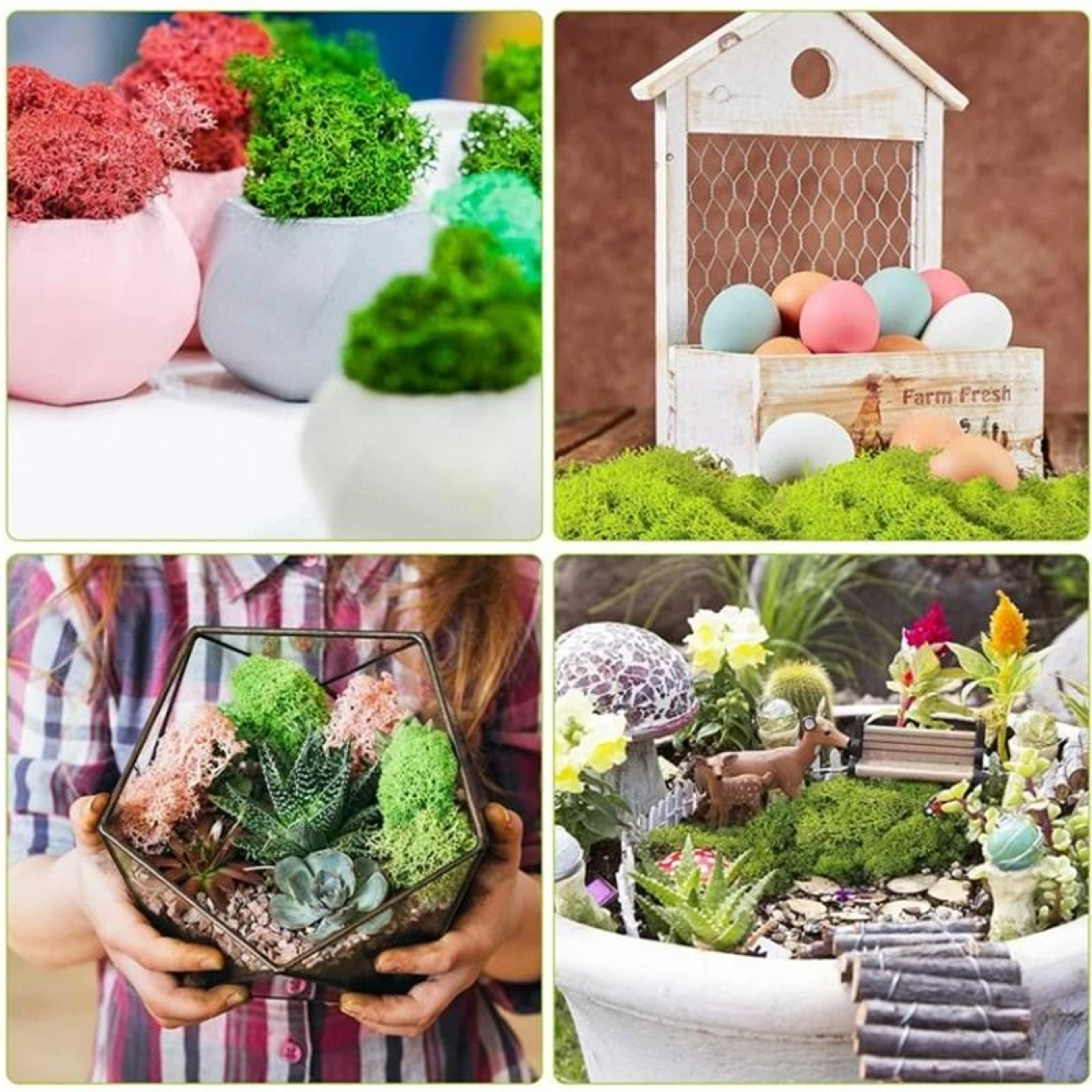 Premium Artificial Forest Moss  Eternal Life Green Grass For Terrariums  Mini Landscapes 4
