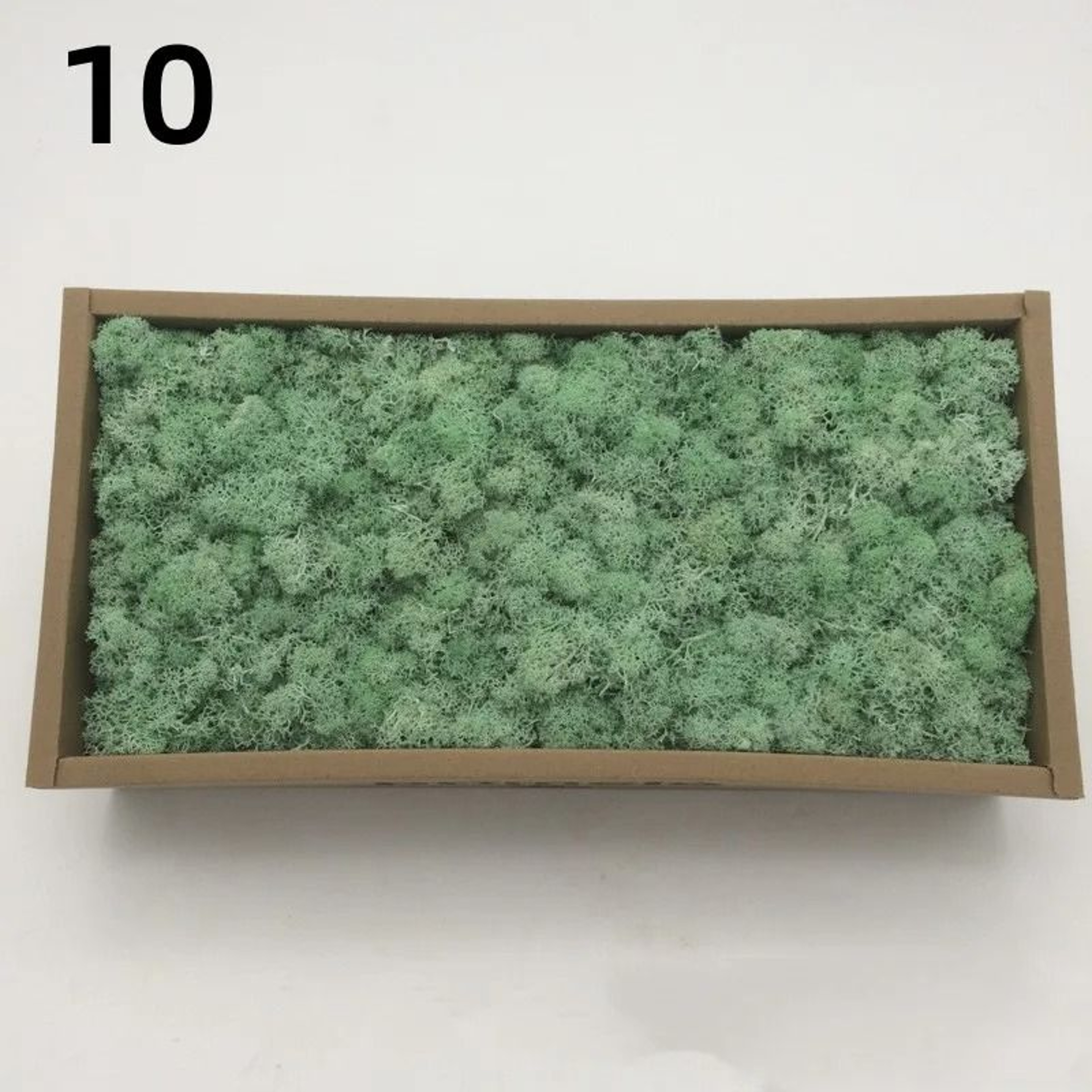 Premium Artificial Forest Moss  Eternal Life Green Grass For Terrariums  Mini Landscapes 16