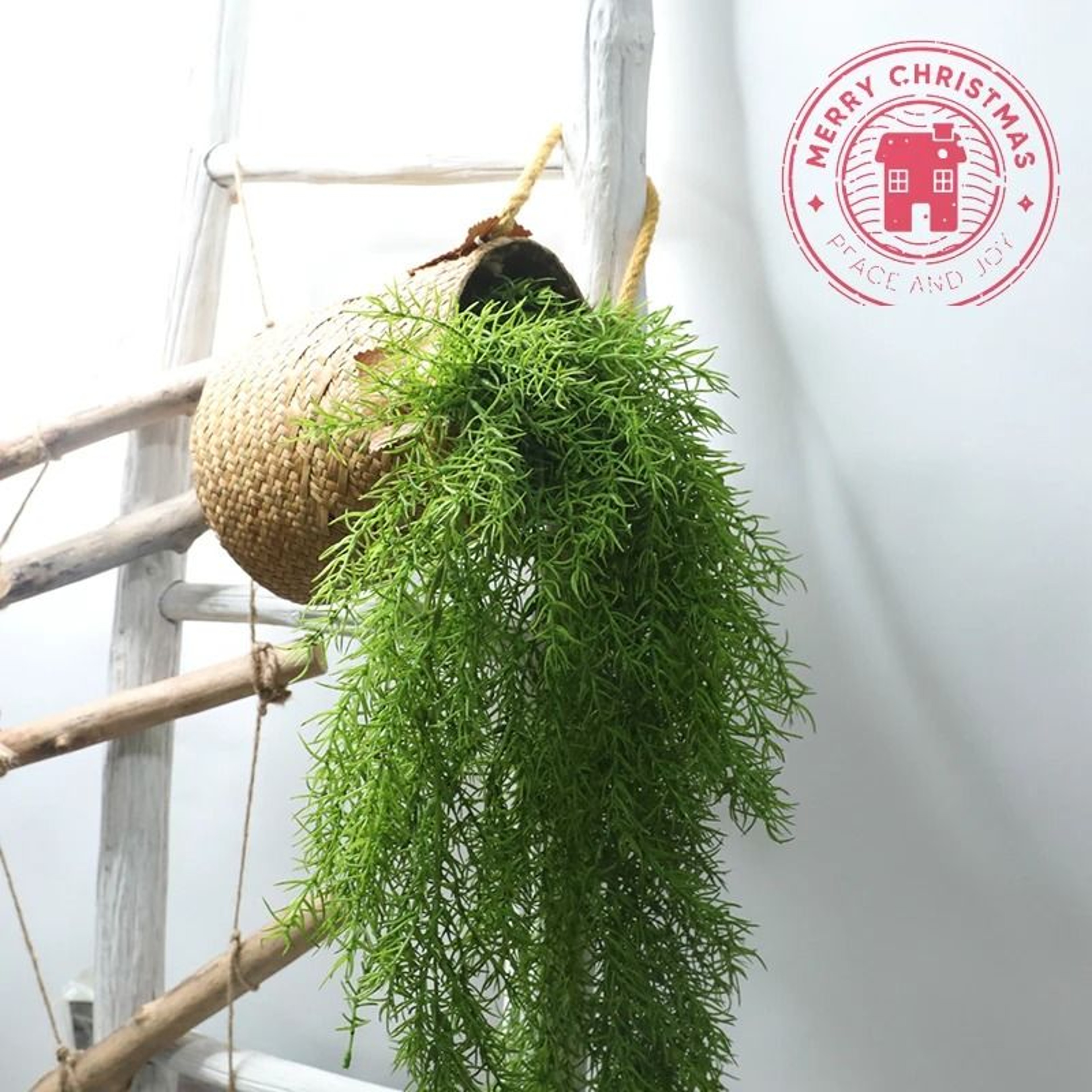 Lush 105cm Simulated Pine Needle Wall Hanging  Realistic Trailing Rattan For Vertical Gardens  Mode 1