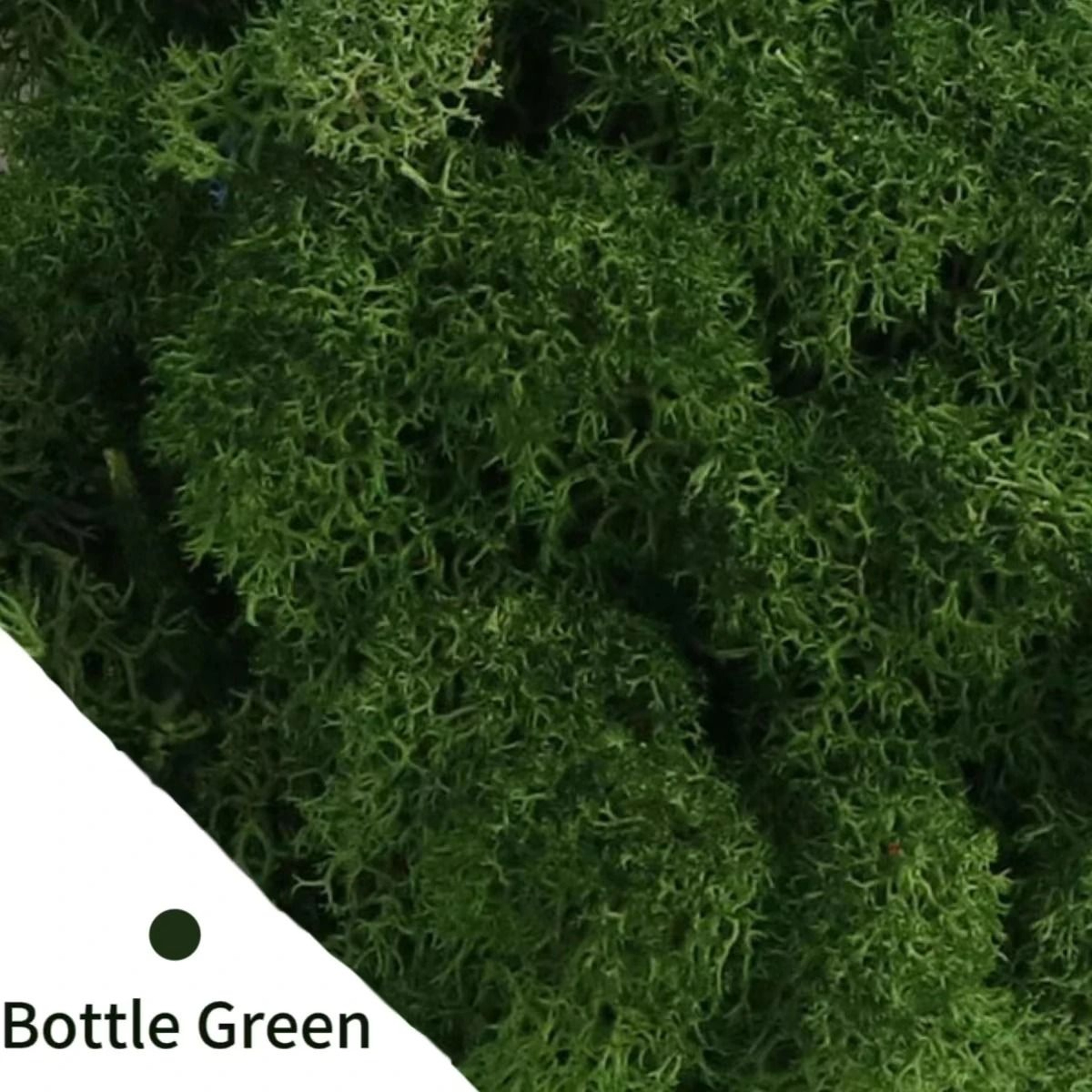 Natural Green Moss Simulation  Eternal Life Moss For Micro Landscapes  DIY Terrarium  Fairy Garden  8