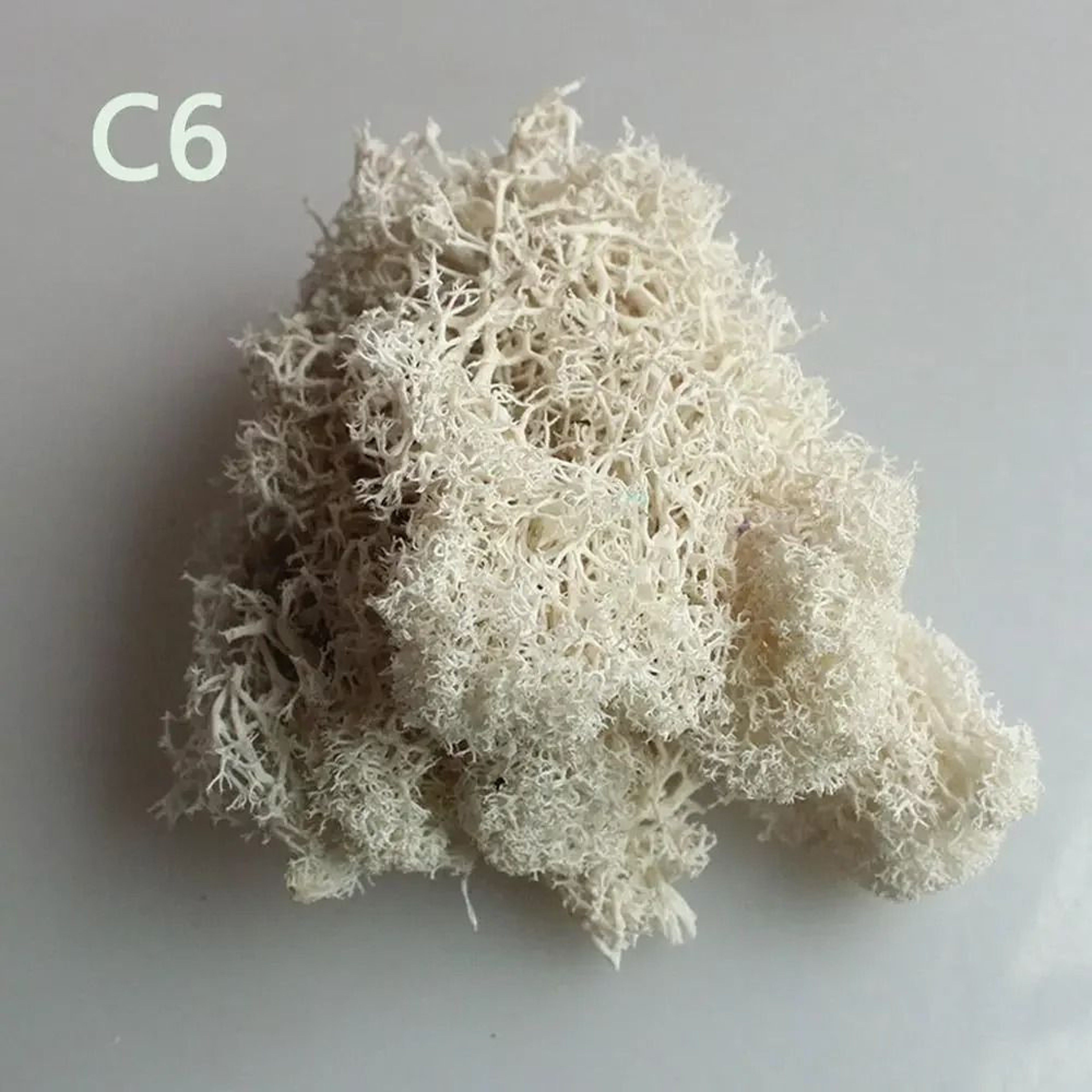 Artificial Eternal Life Moss  Decorative Faux Greenery For Wedding  DIY Crafts  Micro Landscape Mos 12