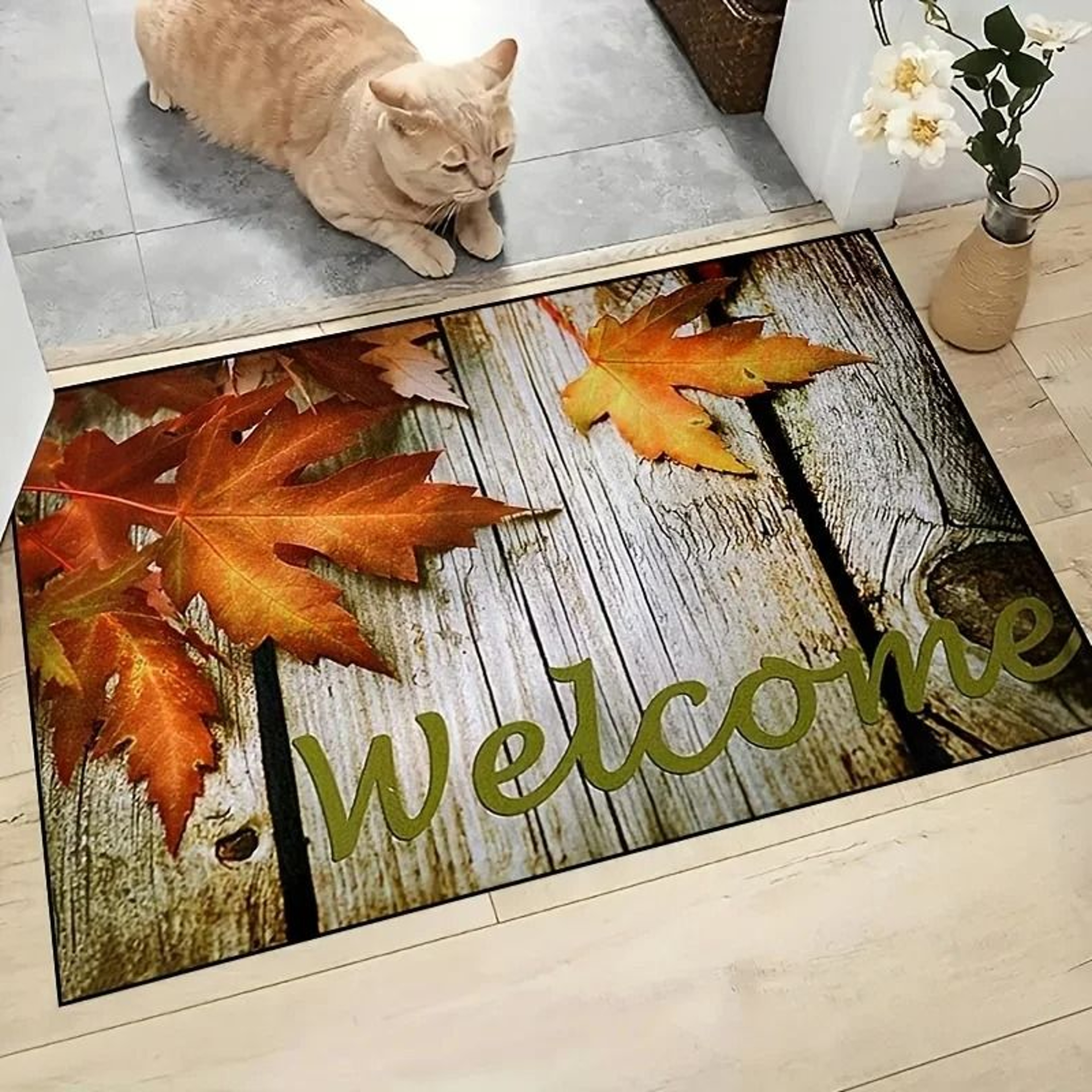Wooden Box Trap 3D Door Mat  Absorbent Washable Home Decor Carpet  Dirt Resistant Rug For Living Ro 1
