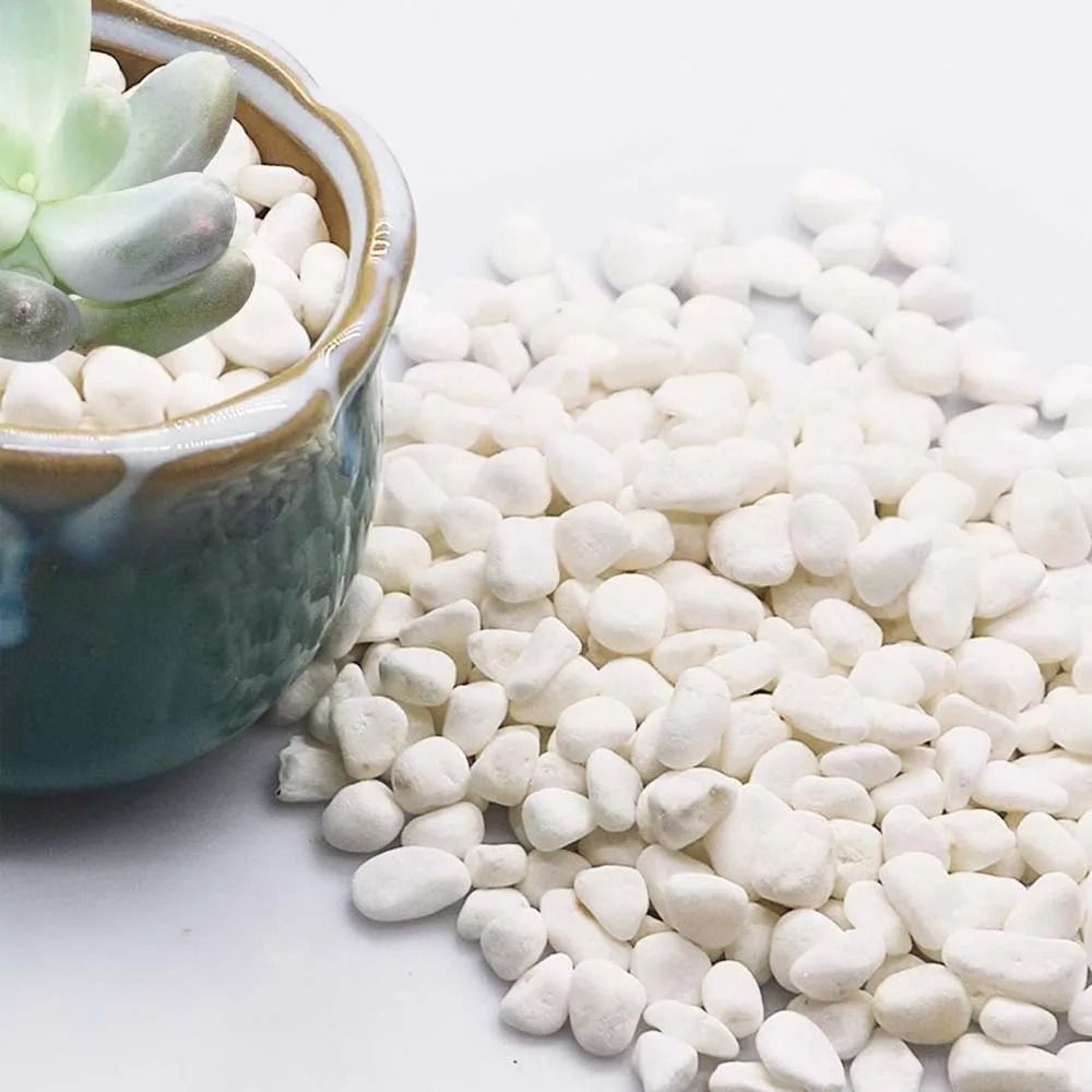 Natural Polished White Pebbles  Decorative River Stone Marbles  Zen Succulent  Aquarium Foundation  1