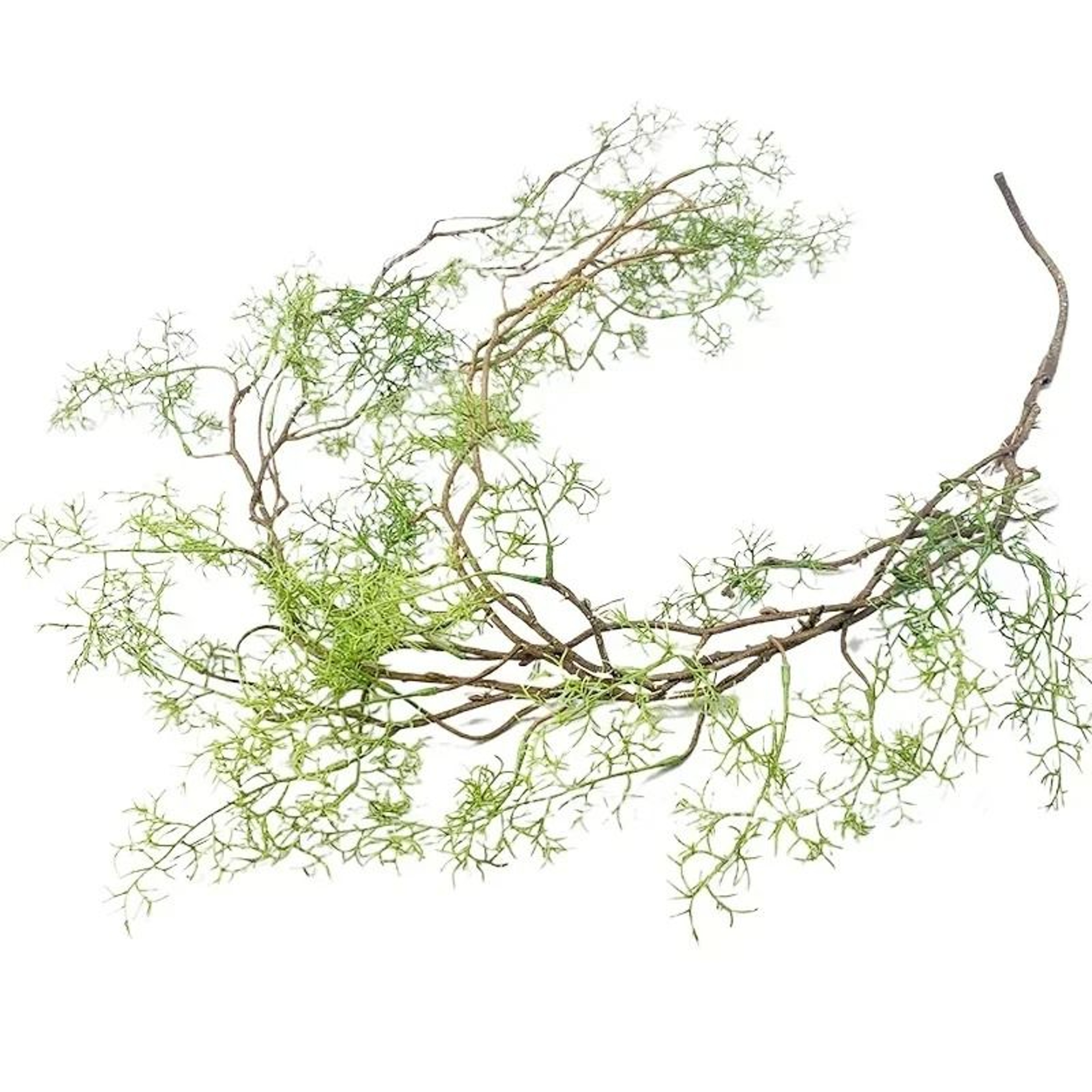 Botanical Asparagine Cascade  13M HighDensity Hanging Vine  Executive Lobby  Studio Sanctuary Decor 6