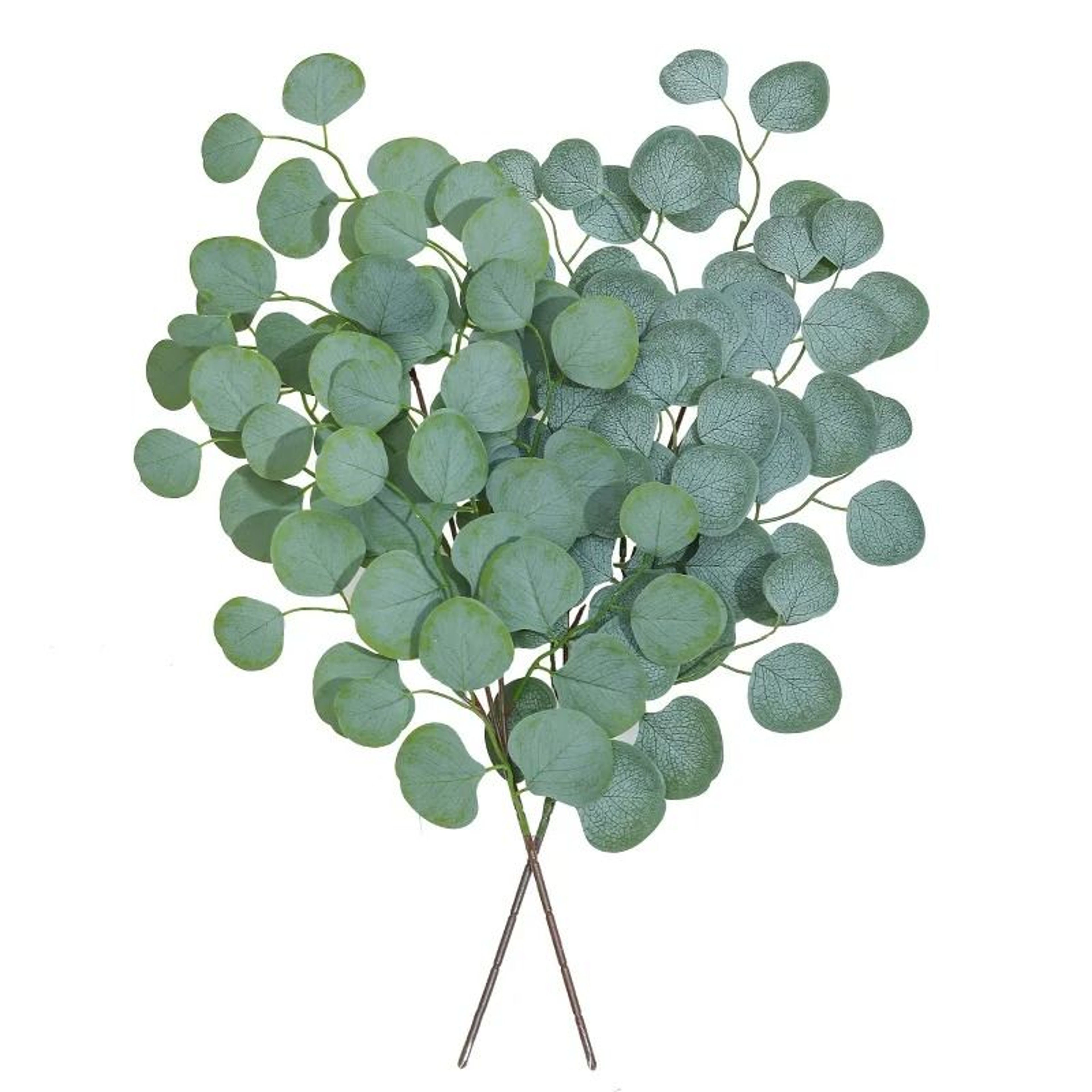 Botanical Eucalyptus Spray  56Leaf Silver Dollar Foliage  Executive Studio  Wedding Sanctuary Decor 2