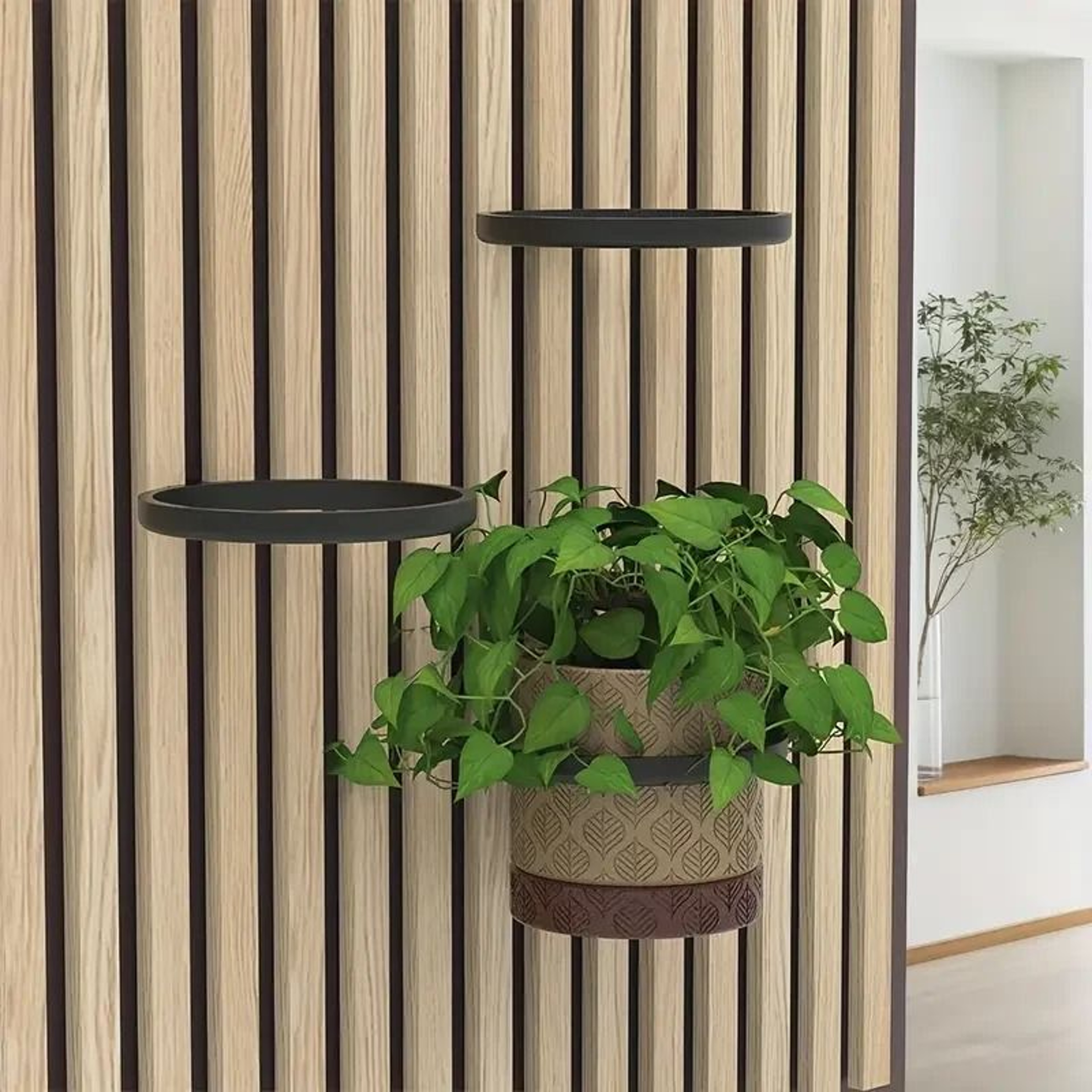 Acoustic Panel Plant Rings Set Of 2  NoDrill Suspended Greenery Support For Studios  Offices 1