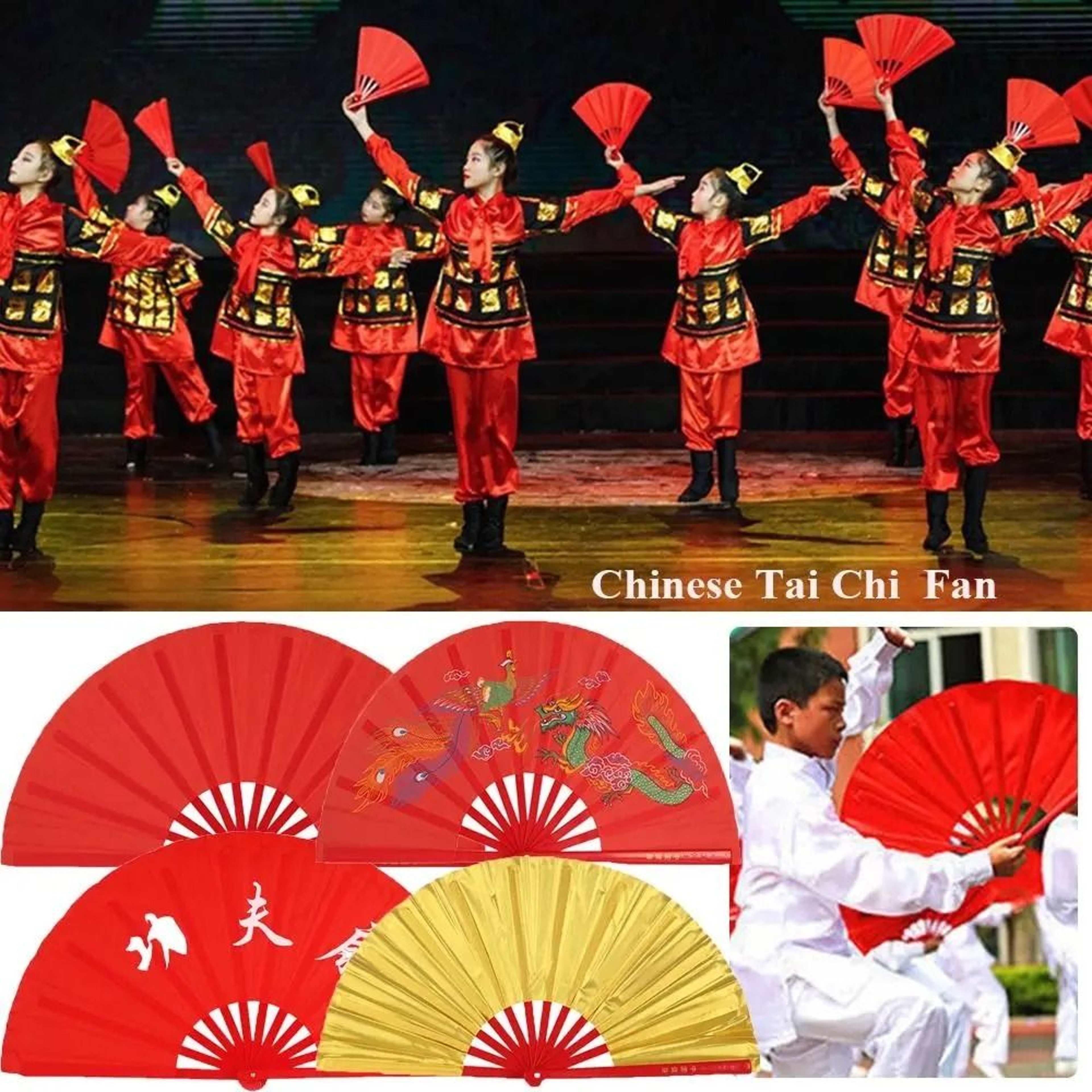 Tai Chi Kung Fu Fan  Technical Performance Articulation Logic 3